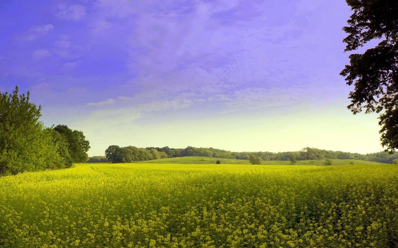 Download mobile wallpaper Grass, Landscape, Sky for free.