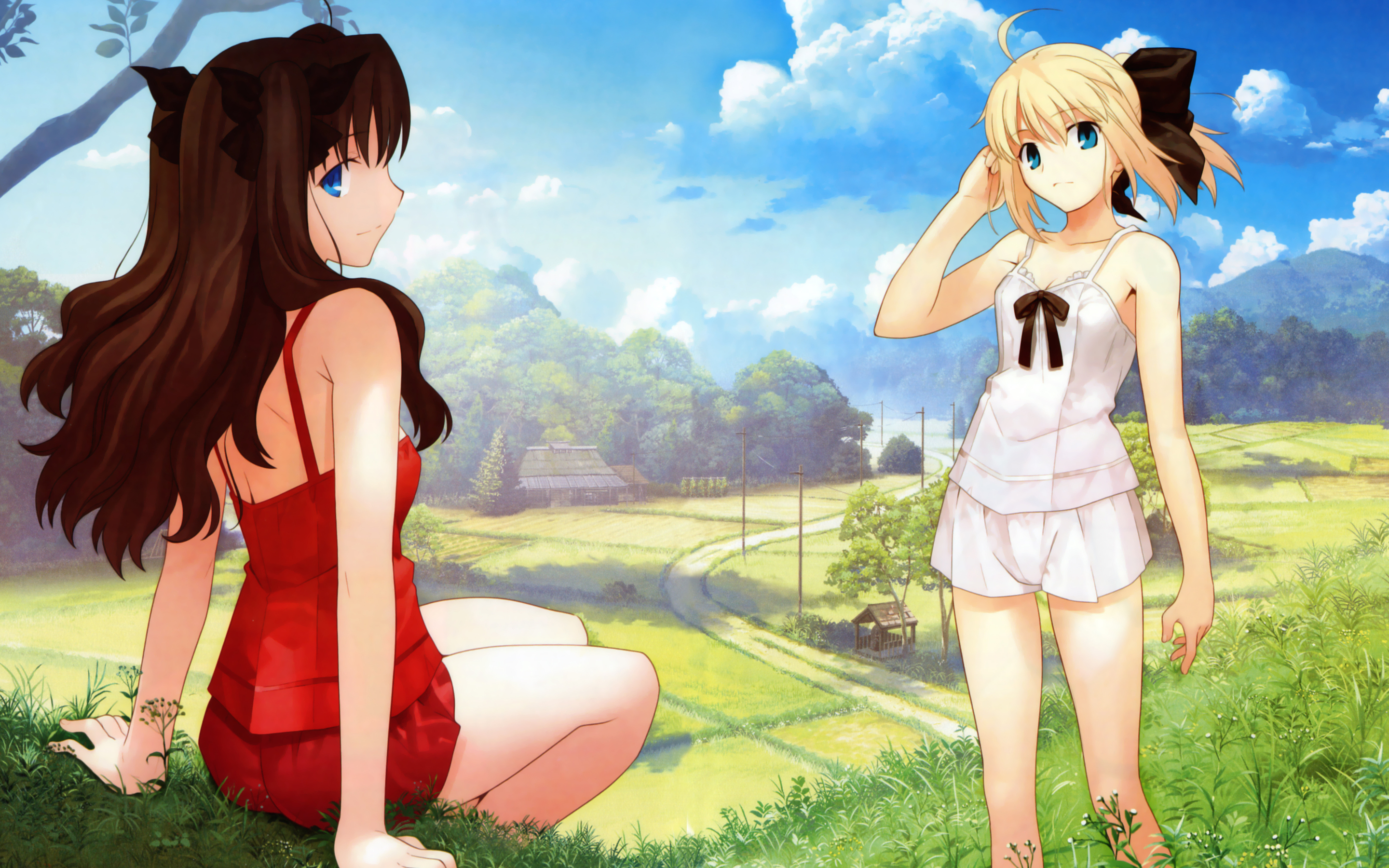 anime, fate/stay night, rin tohsaka, saber (fate series), saber lily, fate series
