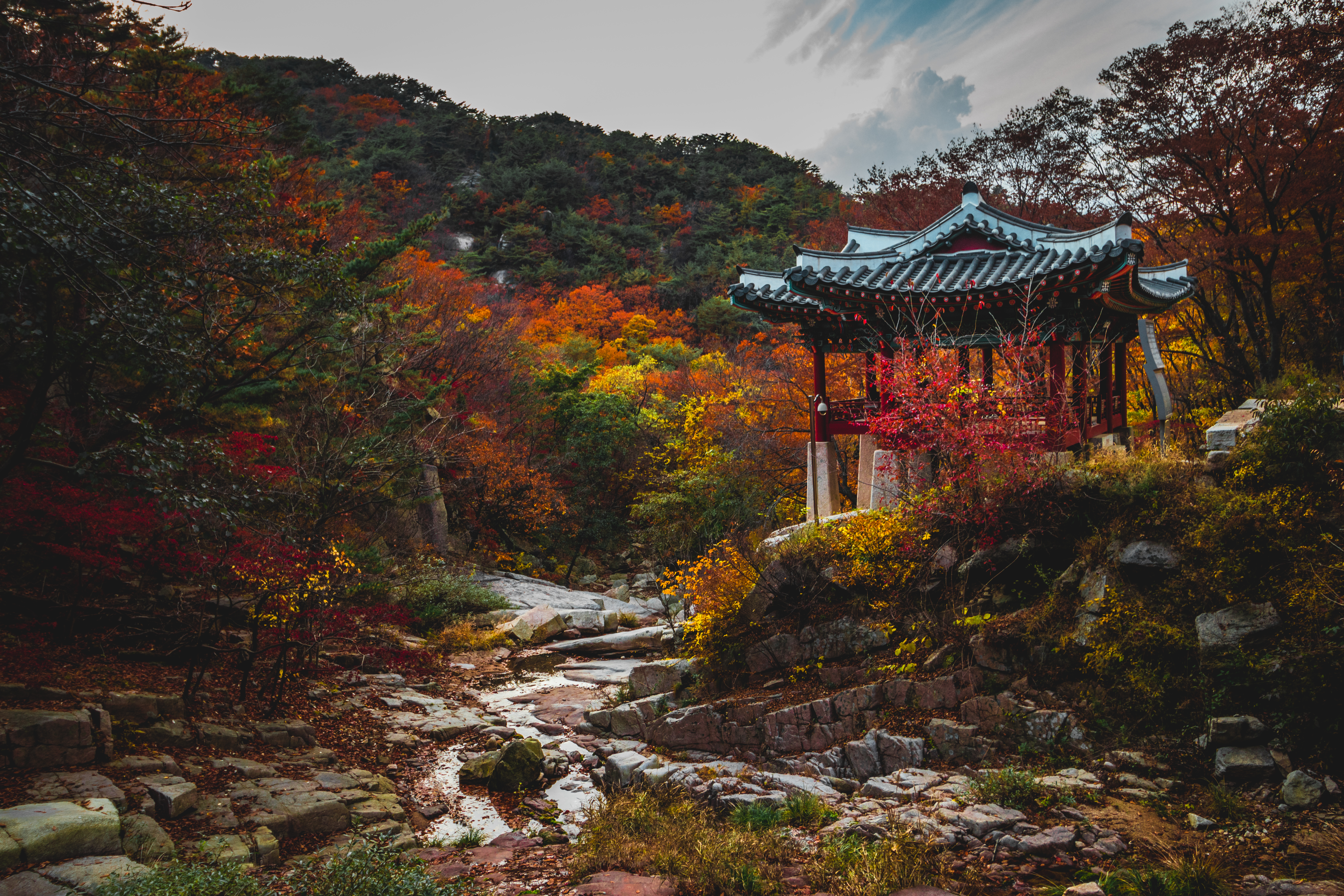 155649 baixar papel de parede árvores, pagode, natureza, outono, jardim - protetores de tela e imagens gratuitamente