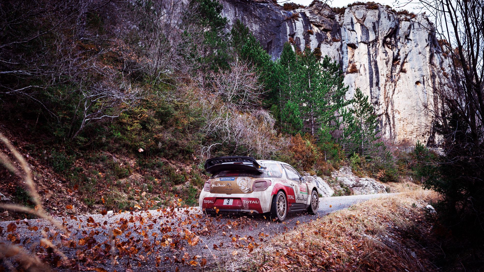 rally, citroen, cars, autumn, ds3 wallpapers for tablet