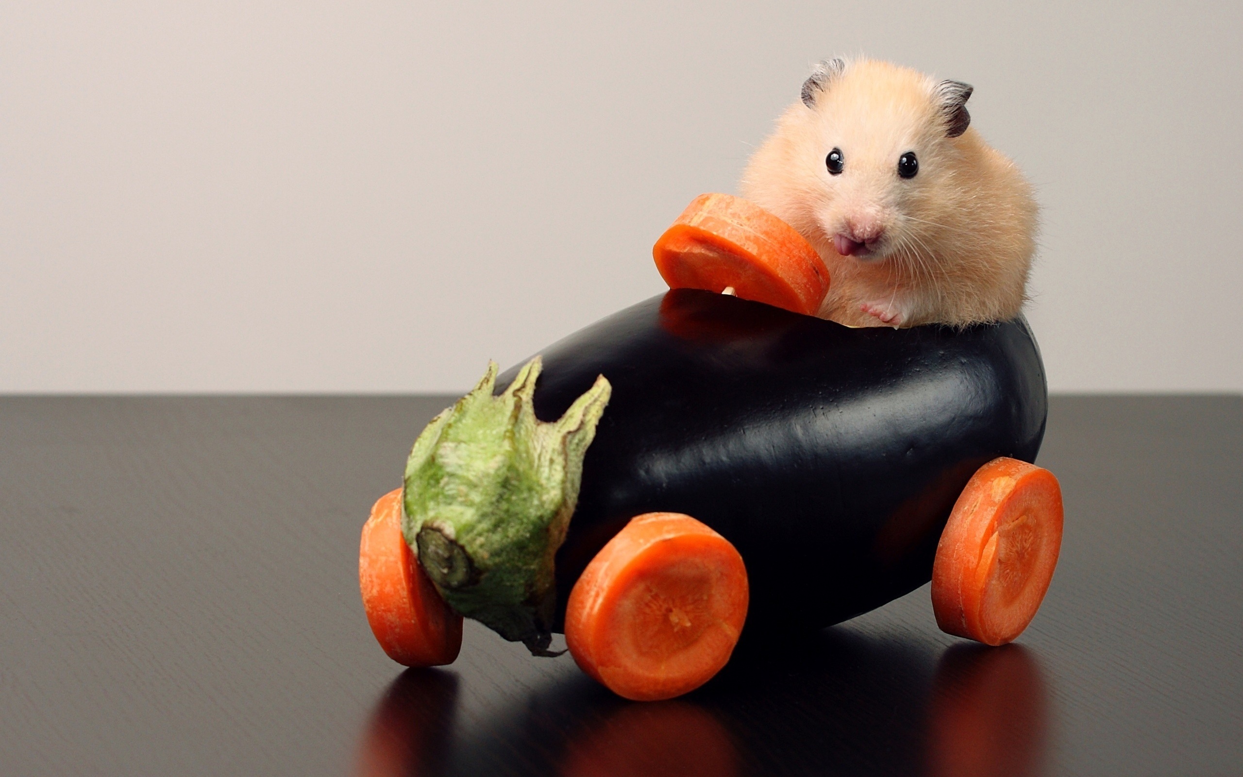 animal, hamster, car, carrot, eggplant Desktop Wallpaper