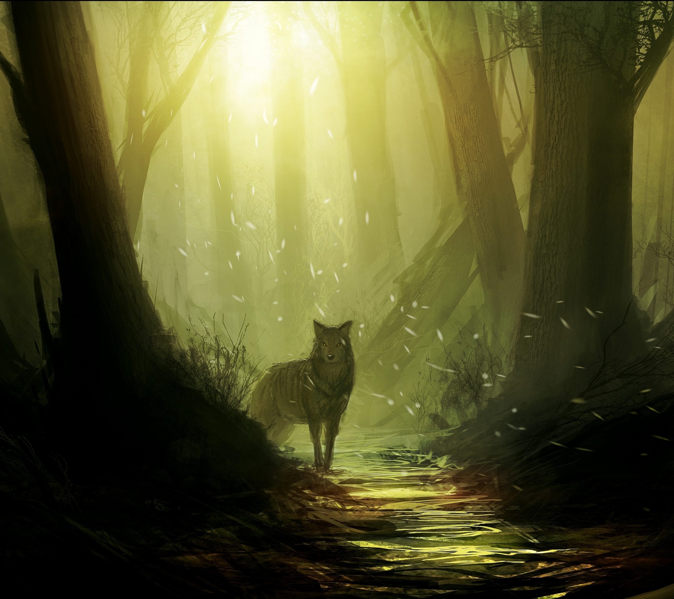 Волк в лесу арт
