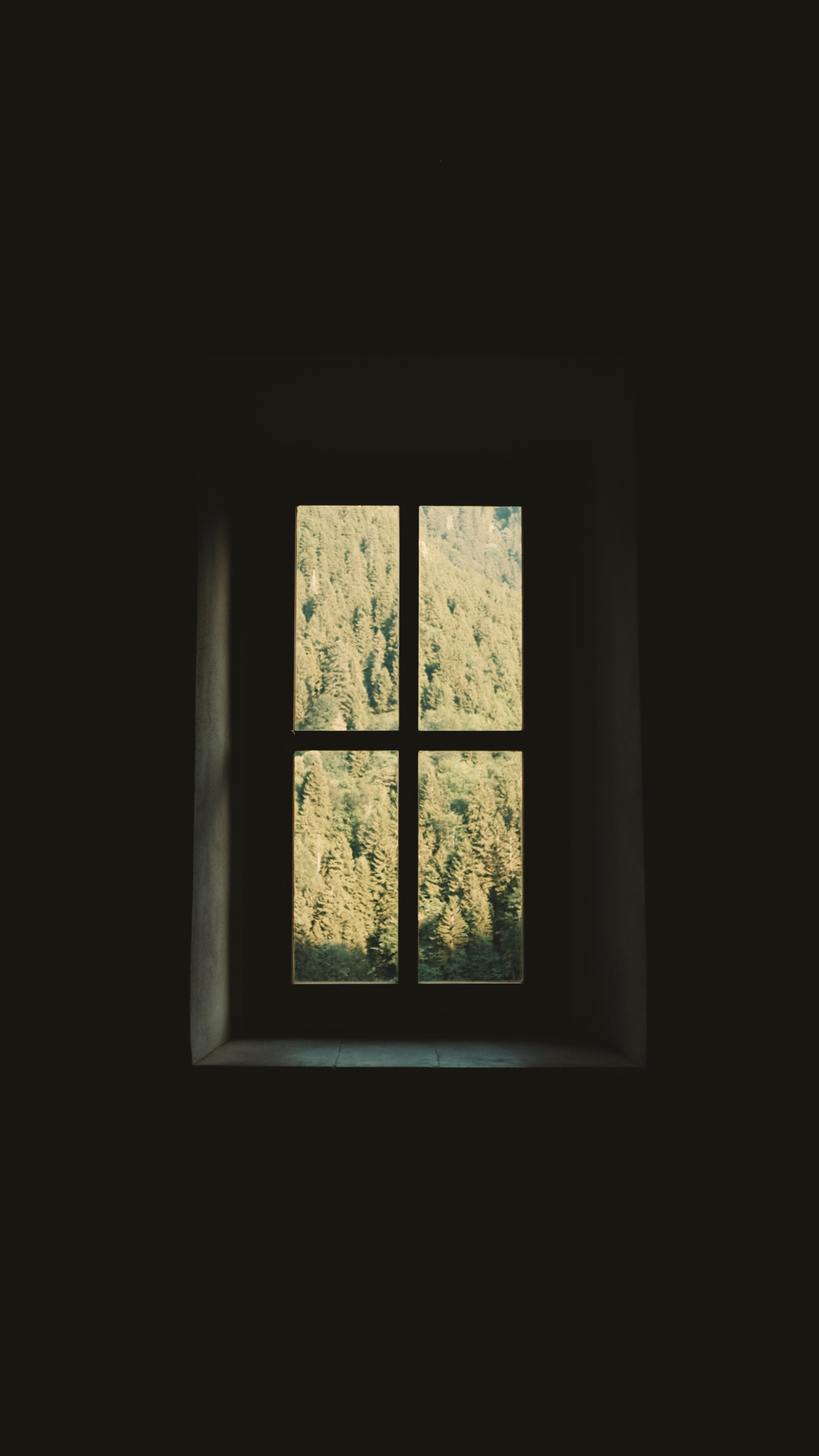 window, wall, trees, dark, room