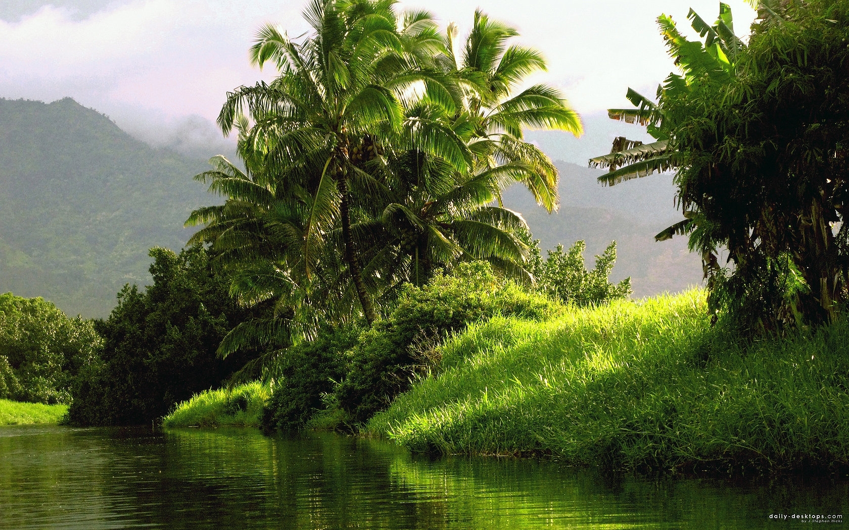 Download mobile wallpaper Rivers, Landscape, Palms for free.