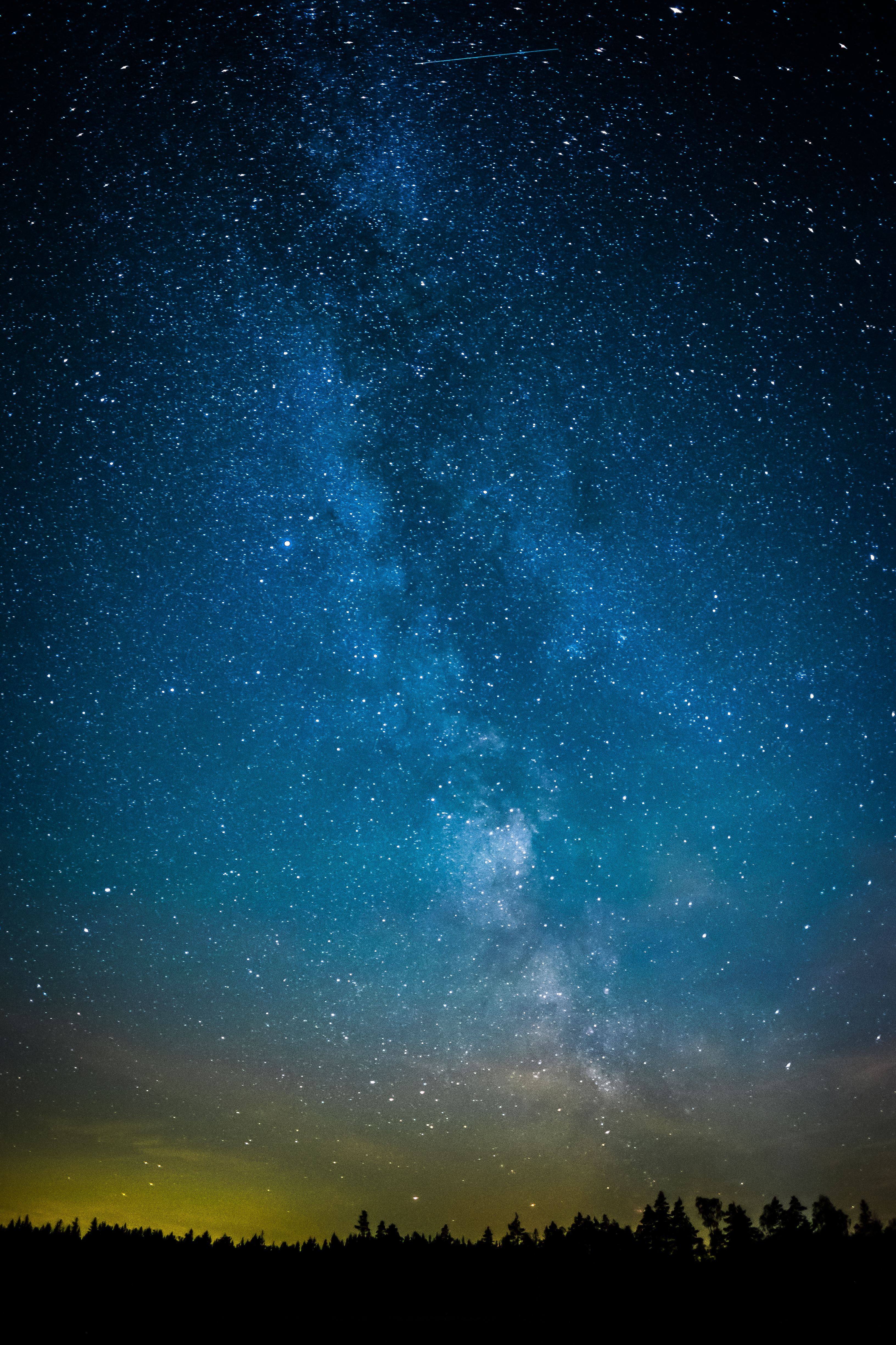 stars, universe, trees, dark, starry sky Smartphone Background