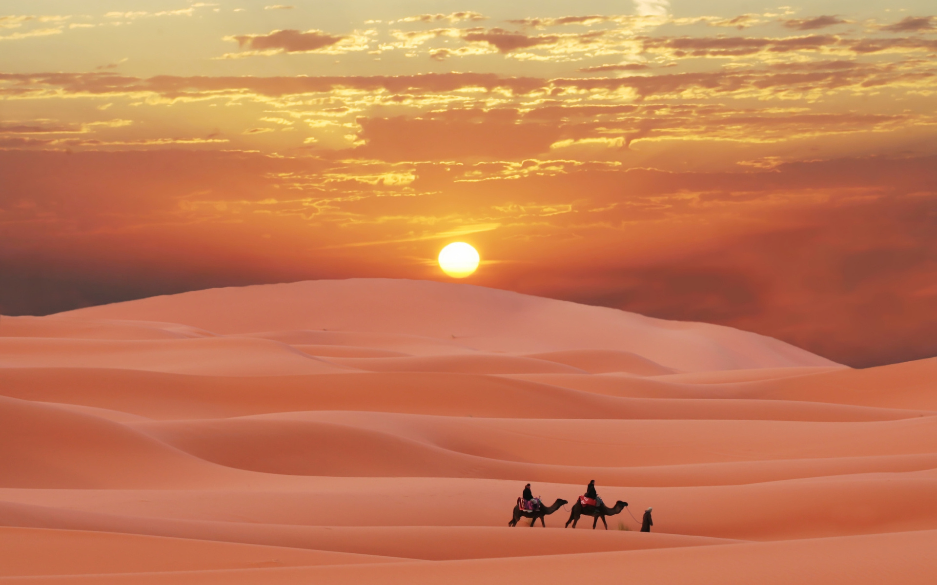 37568 Hintergrundbild herunterladen kamele, landschaft, wüste - Bildschirmschoner und Bilder kostenlos