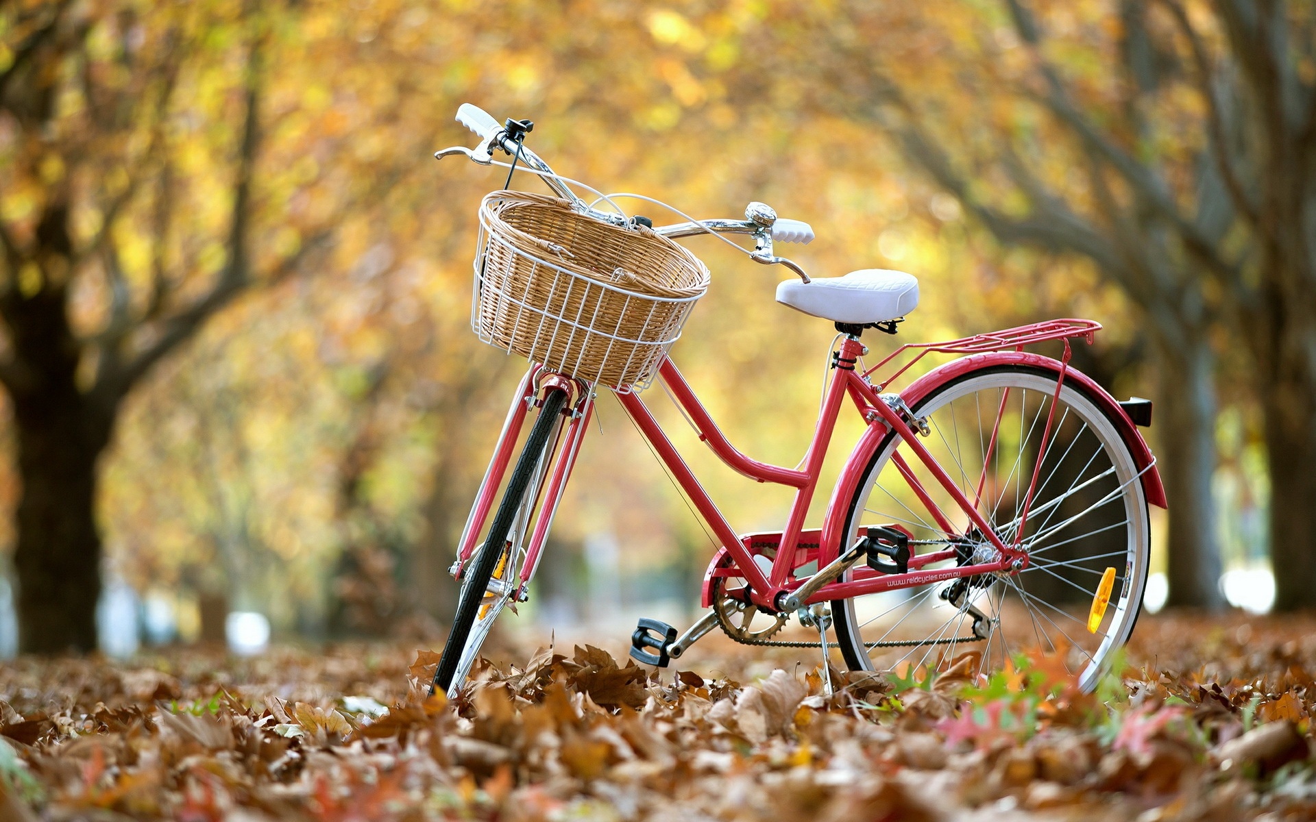 bicycle, vehicles HD wallpaper