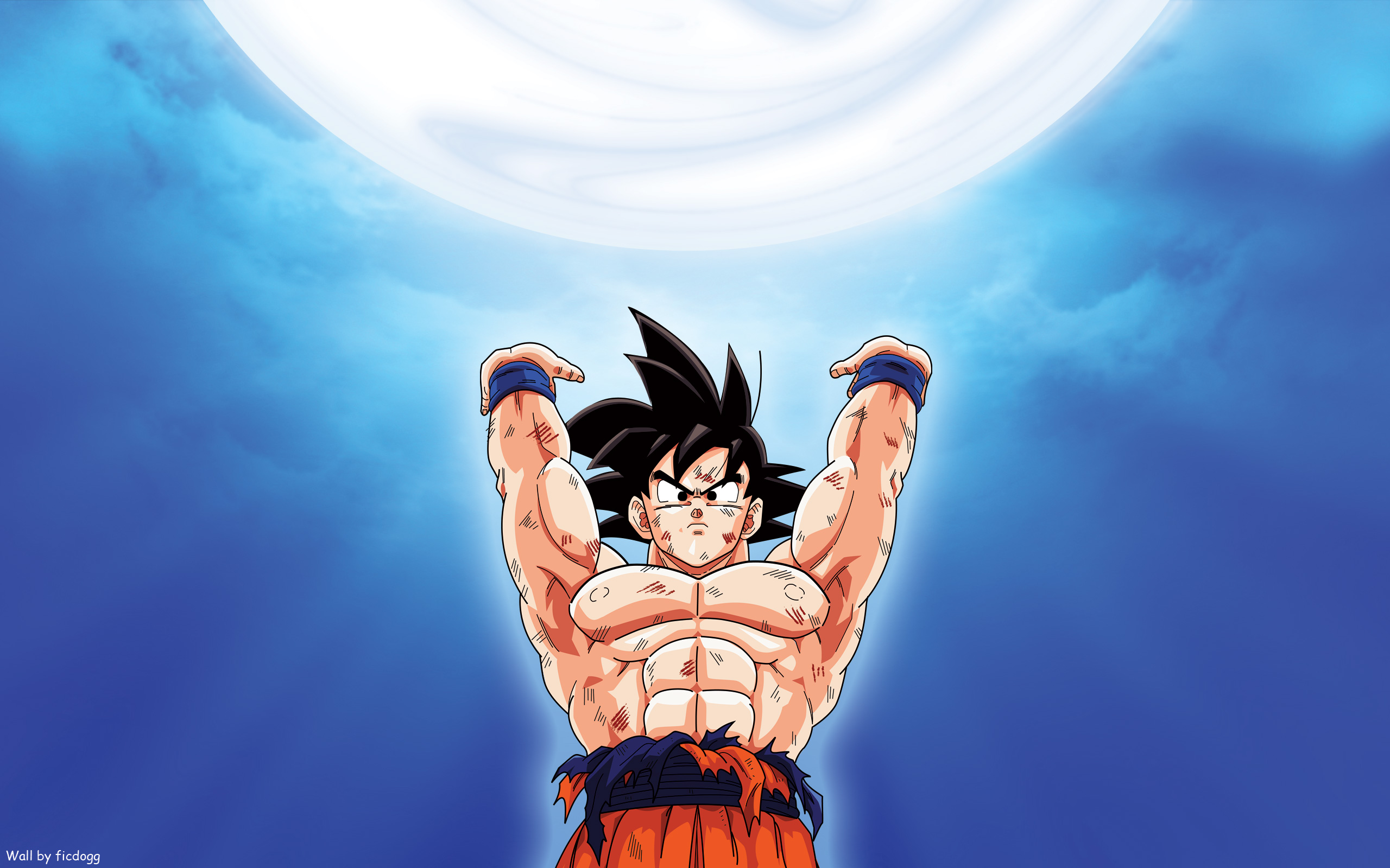 iPhone Wallpapers  Dragon Ball Z