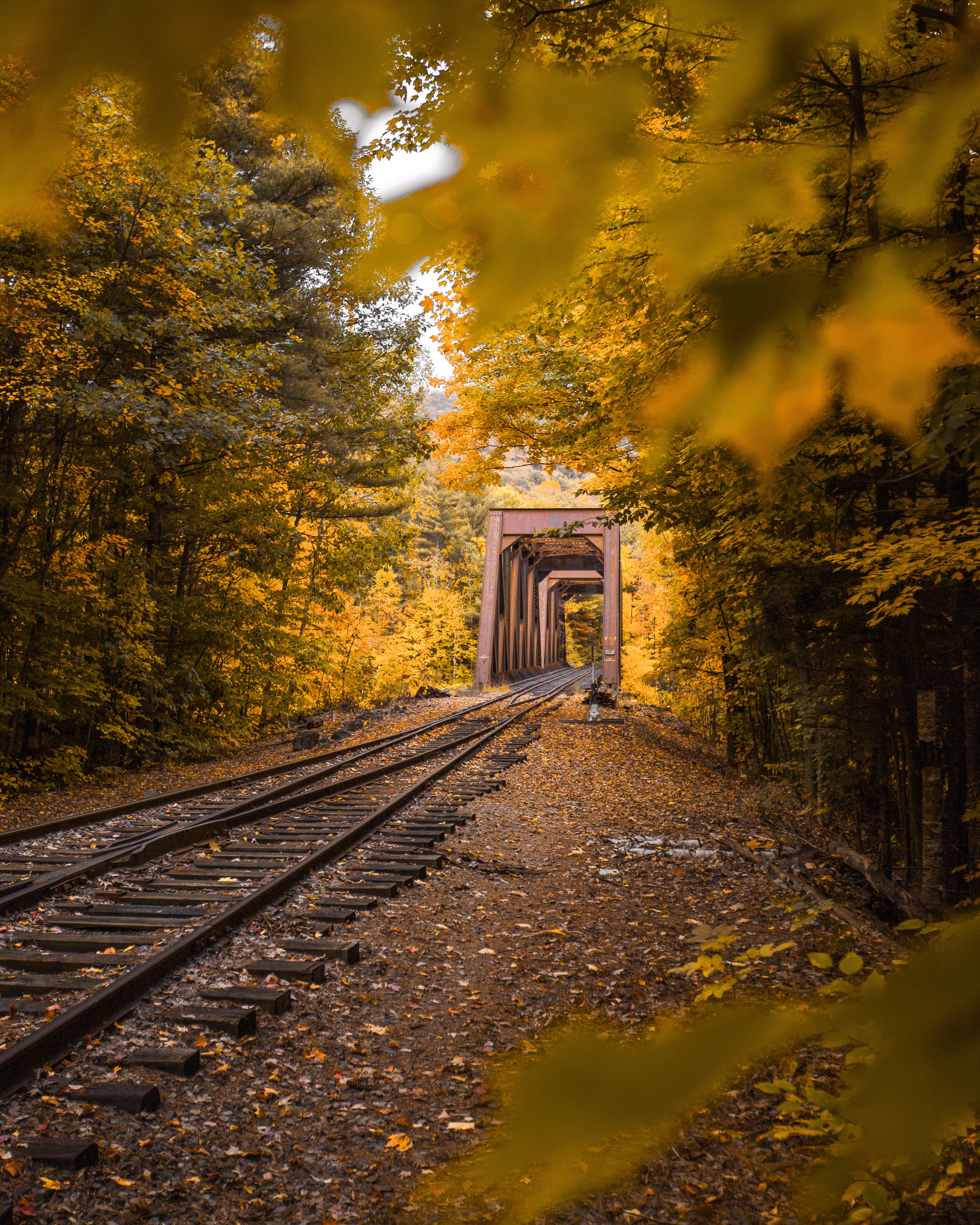 nature, railway, autumn, trees, foliage wallpapers for tablet