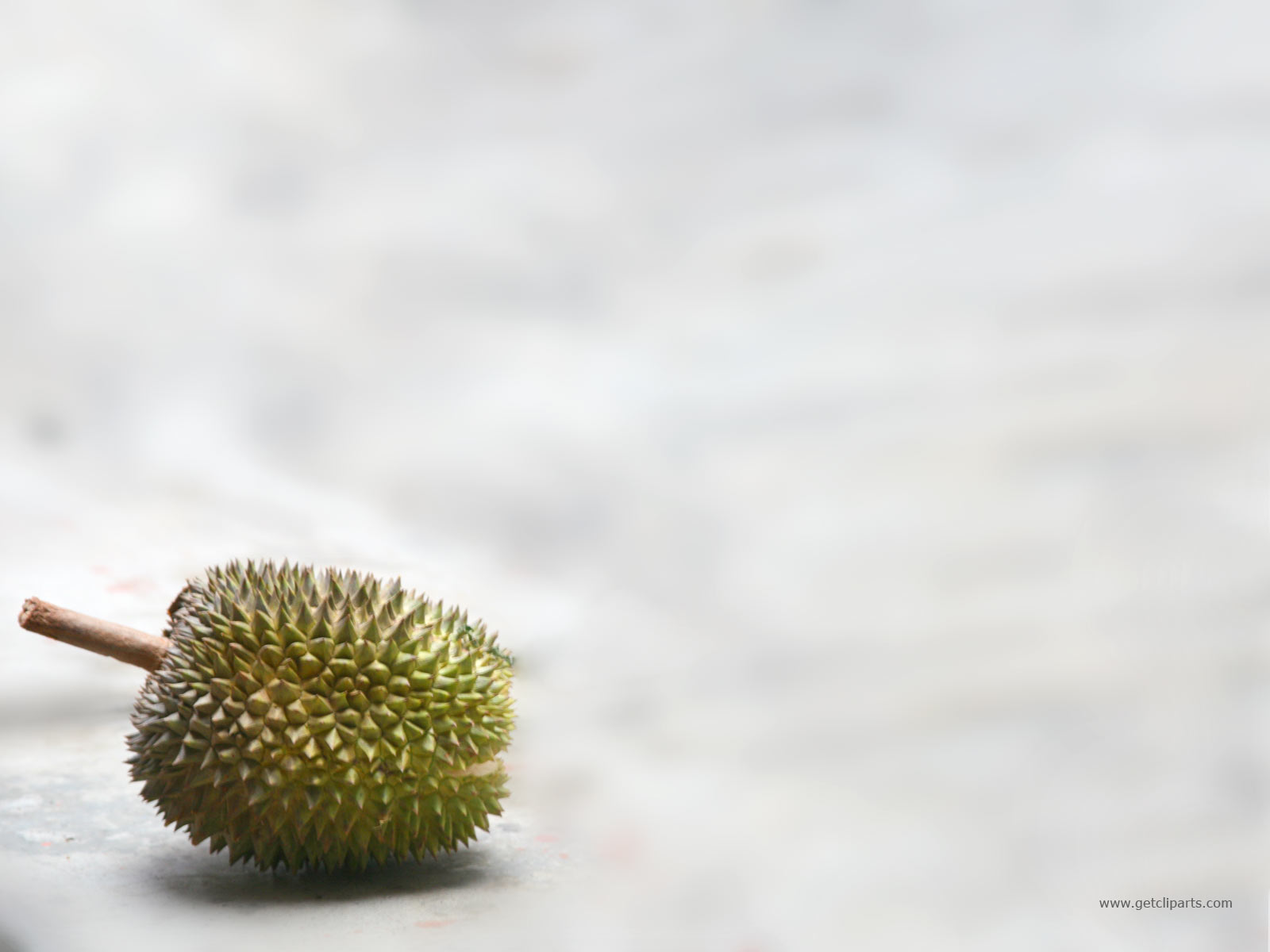Die besten Durian-Hintergründe für den Telefonbildschirm