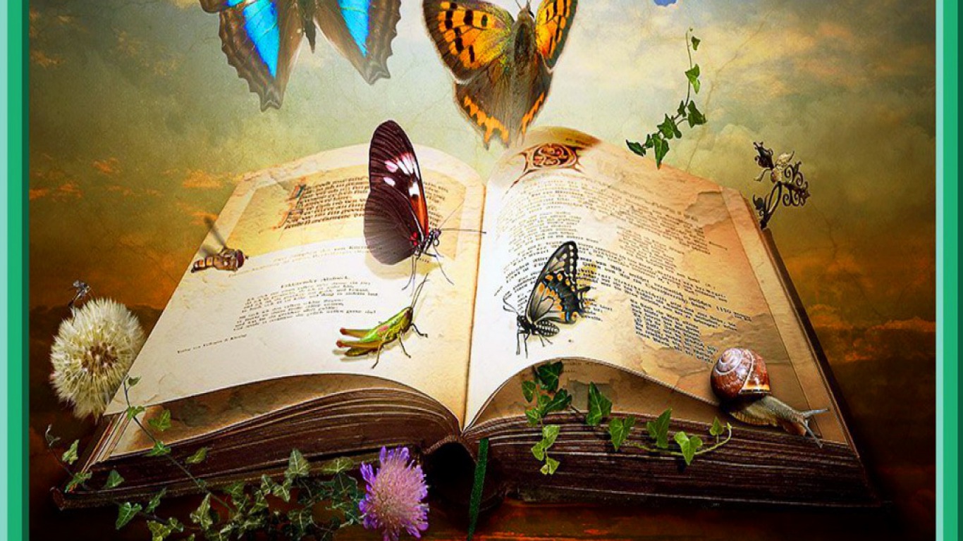 fantasy book wallpaper