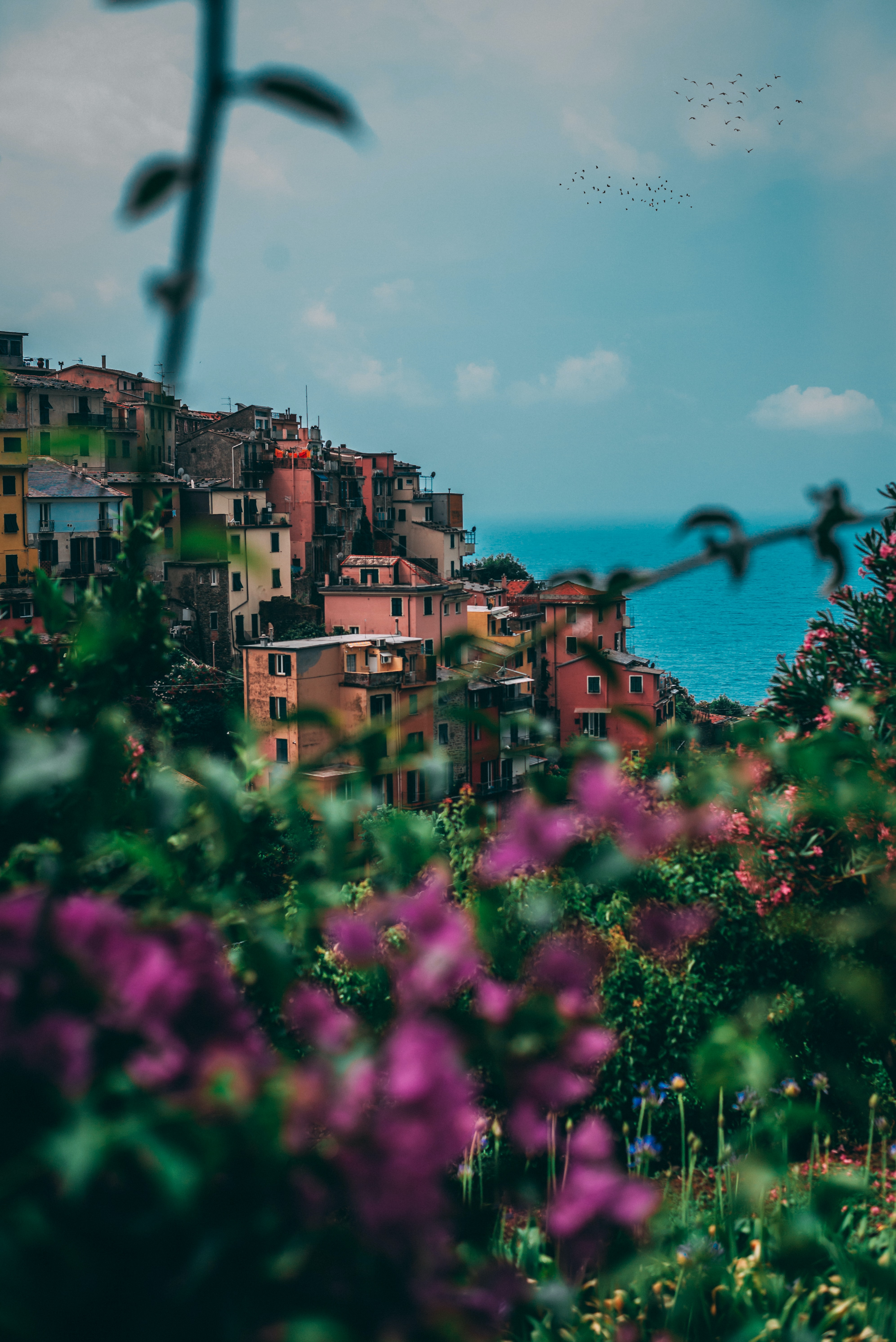 Laden Sie das Italien, Stadt, Gebäude, Städte, Blumen, Sea-Bild kostenlos auf Ihren PC-Desktop herunter