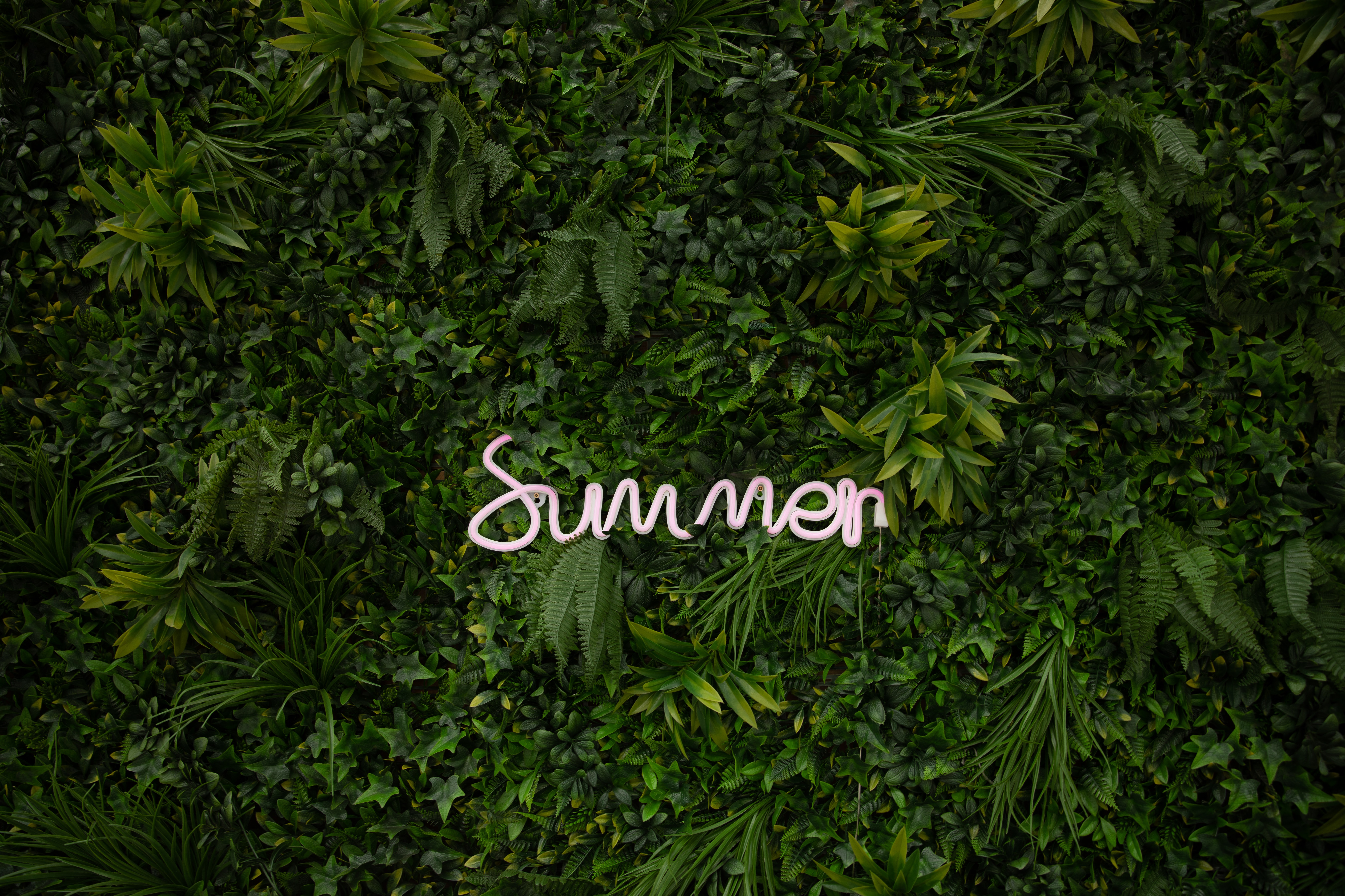 summer, inscription, plants, words, vegetation, greens iphone wallpaper