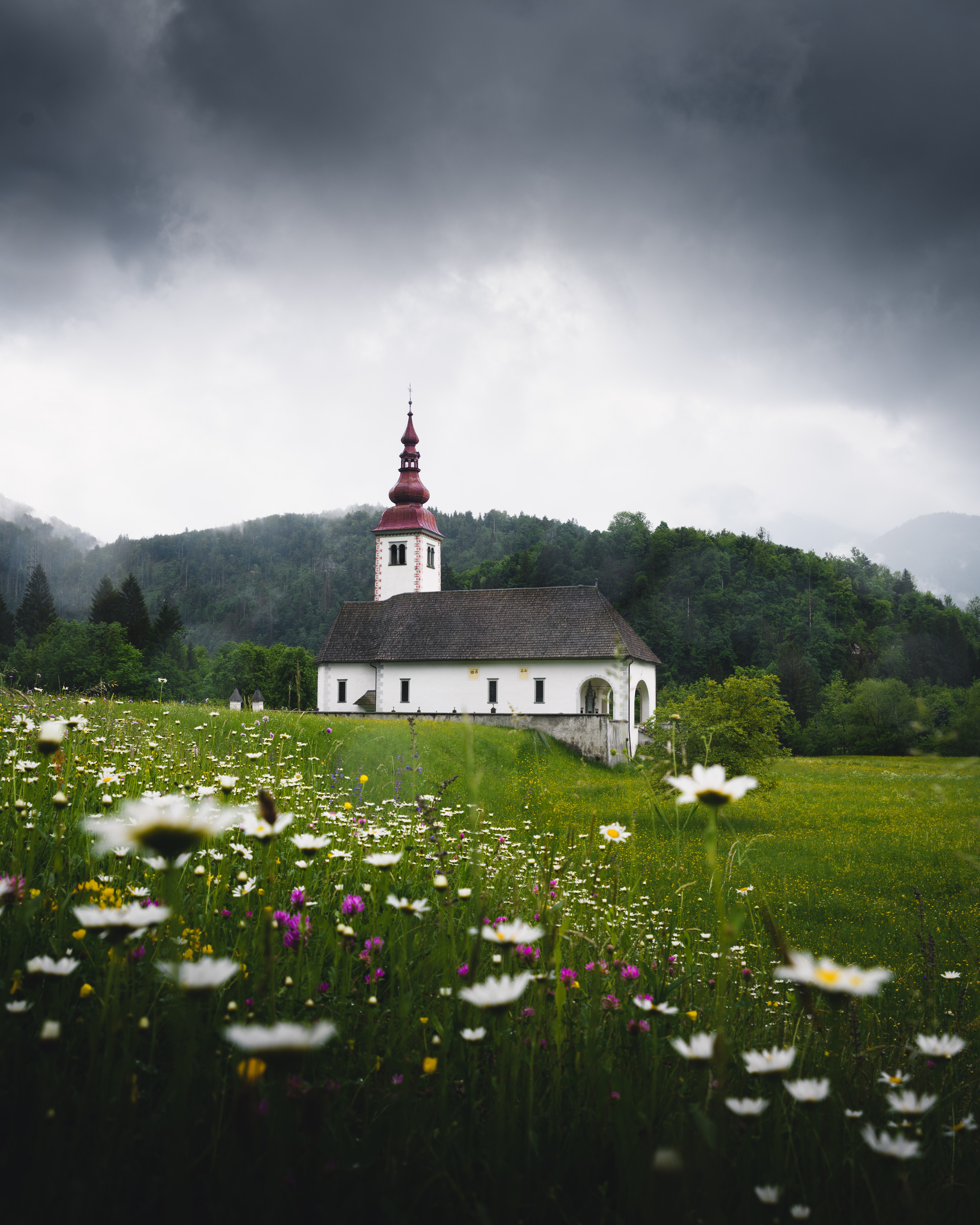 vertical wallpaper temple, slovenia, nature, flowers, grass, field