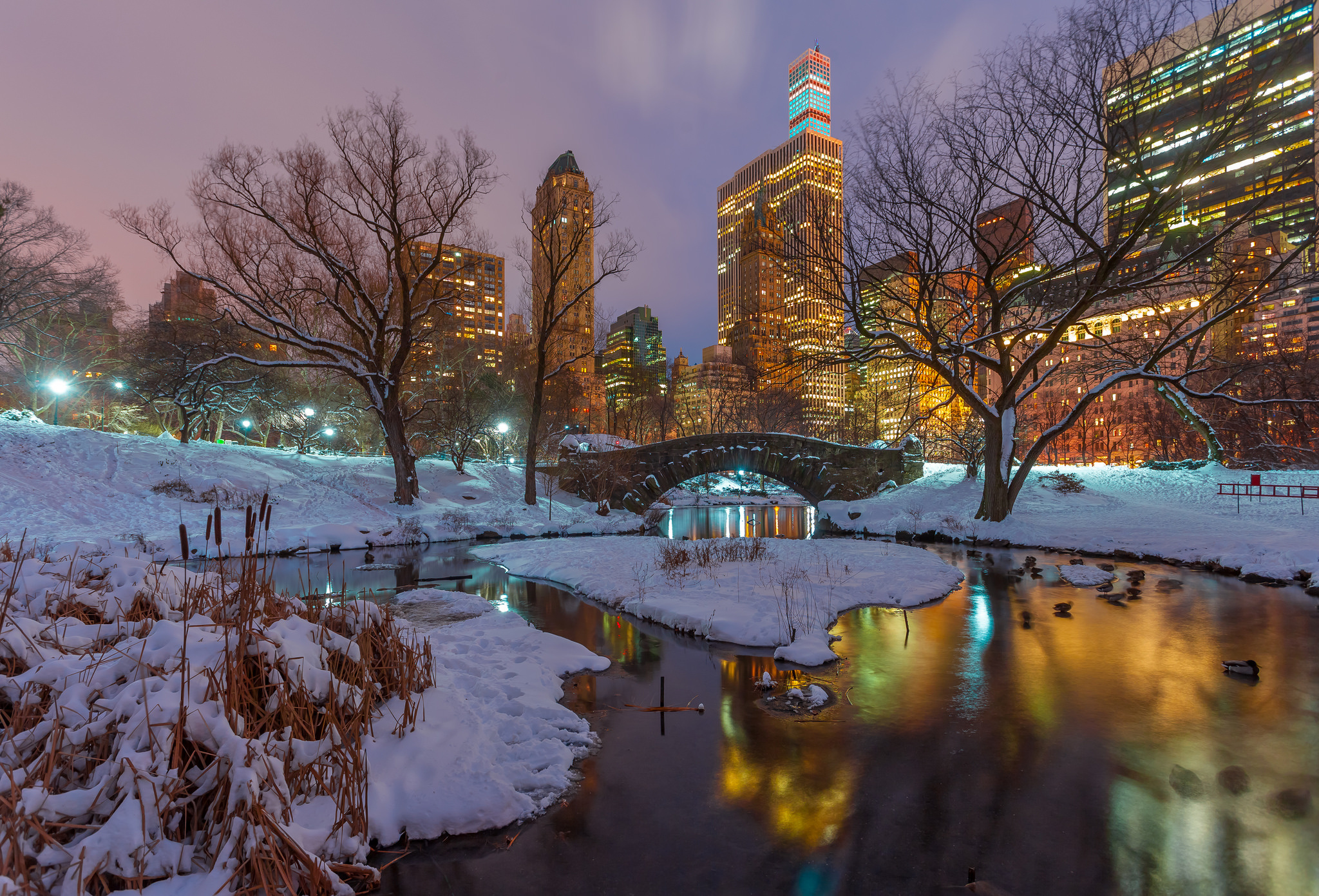 Централ парк Нью Йорк зима