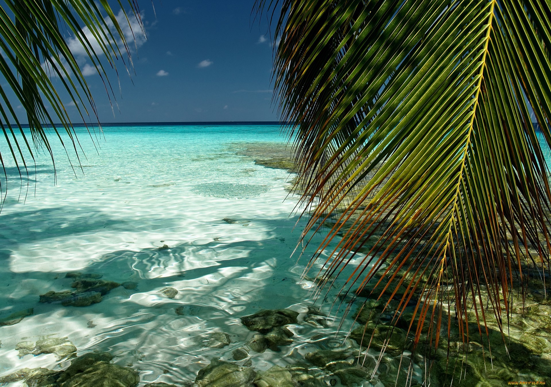 21850 Hintergrundbild herunterladen palms, landschaft, sea, strand - Bildschirmschoner und Bilder kostenlos
