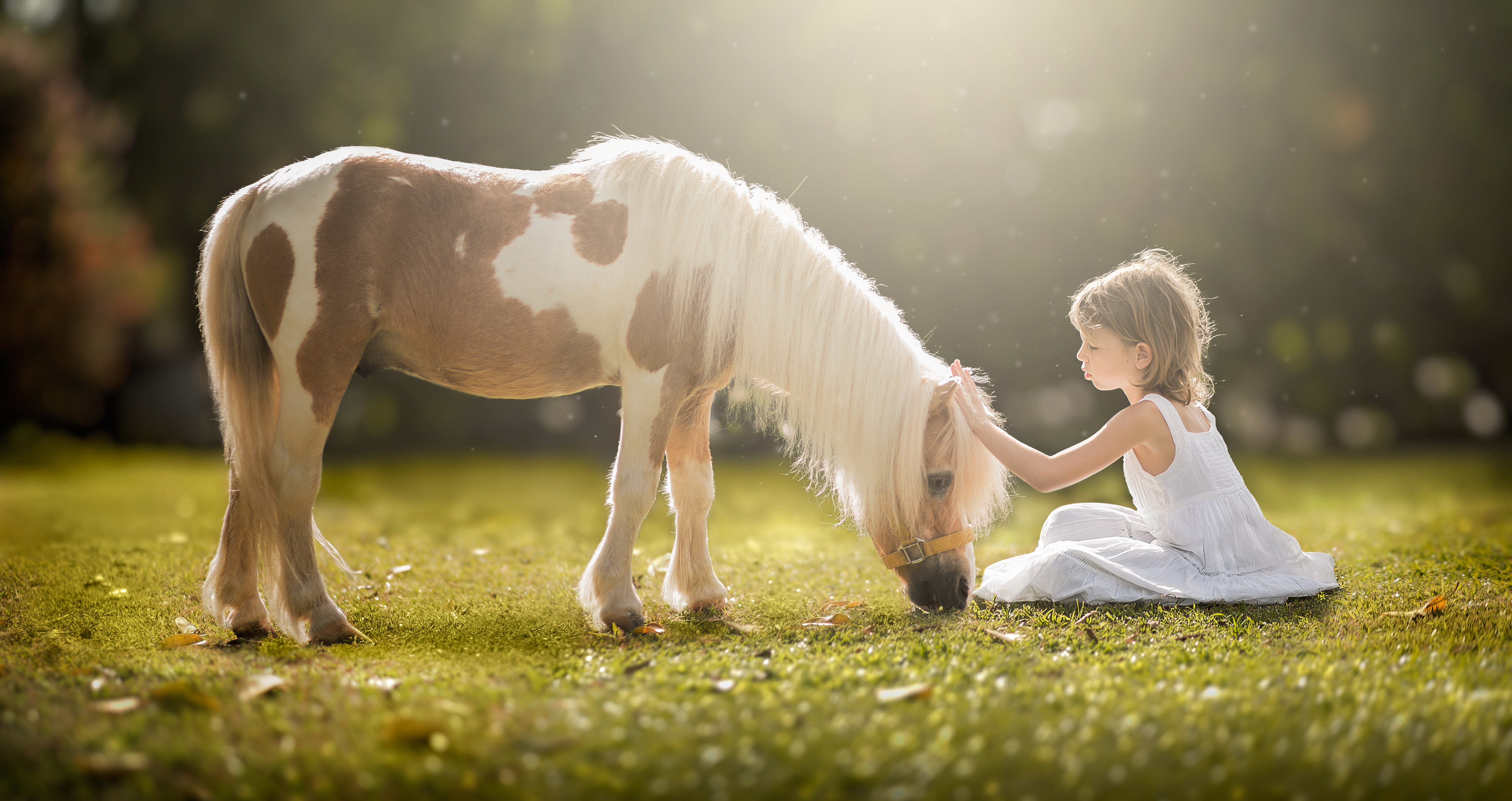 child, photography, blonde, grass, little girl, pony, sunny, white dress 4K
