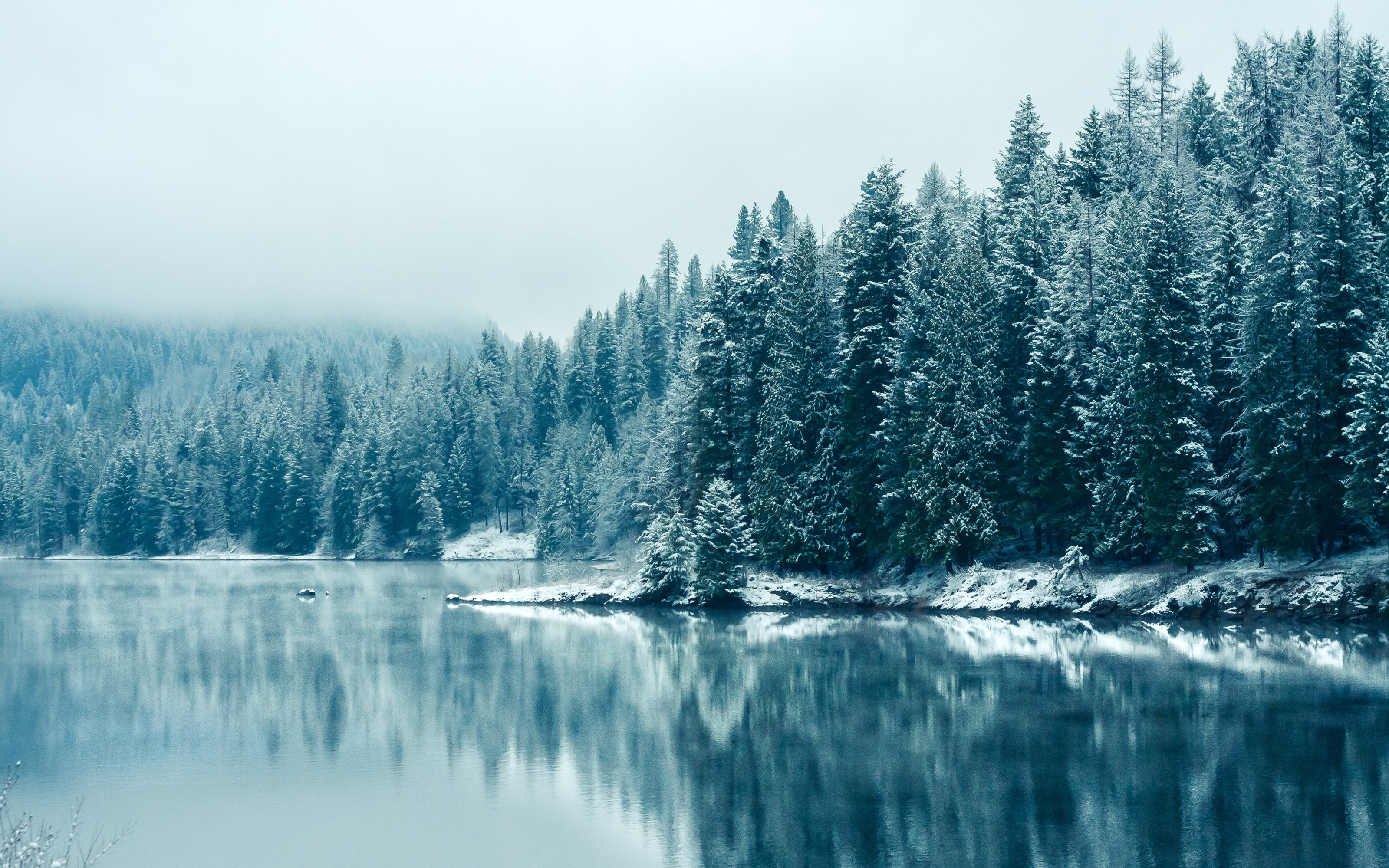 канада природа зима