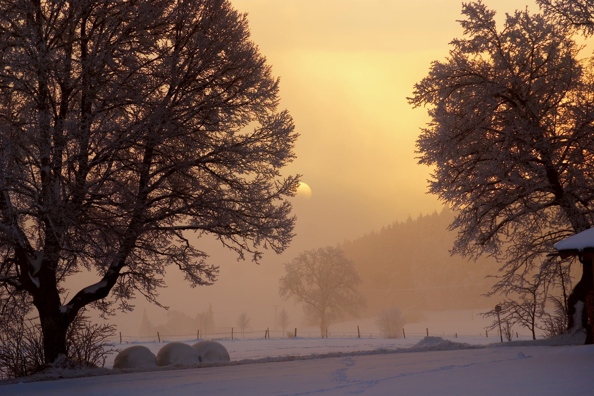 fog, sun, trees, frost, winter, nature, sky, snow, dawn, lumen, morning, courtyard, yard, opening HD wallpaper