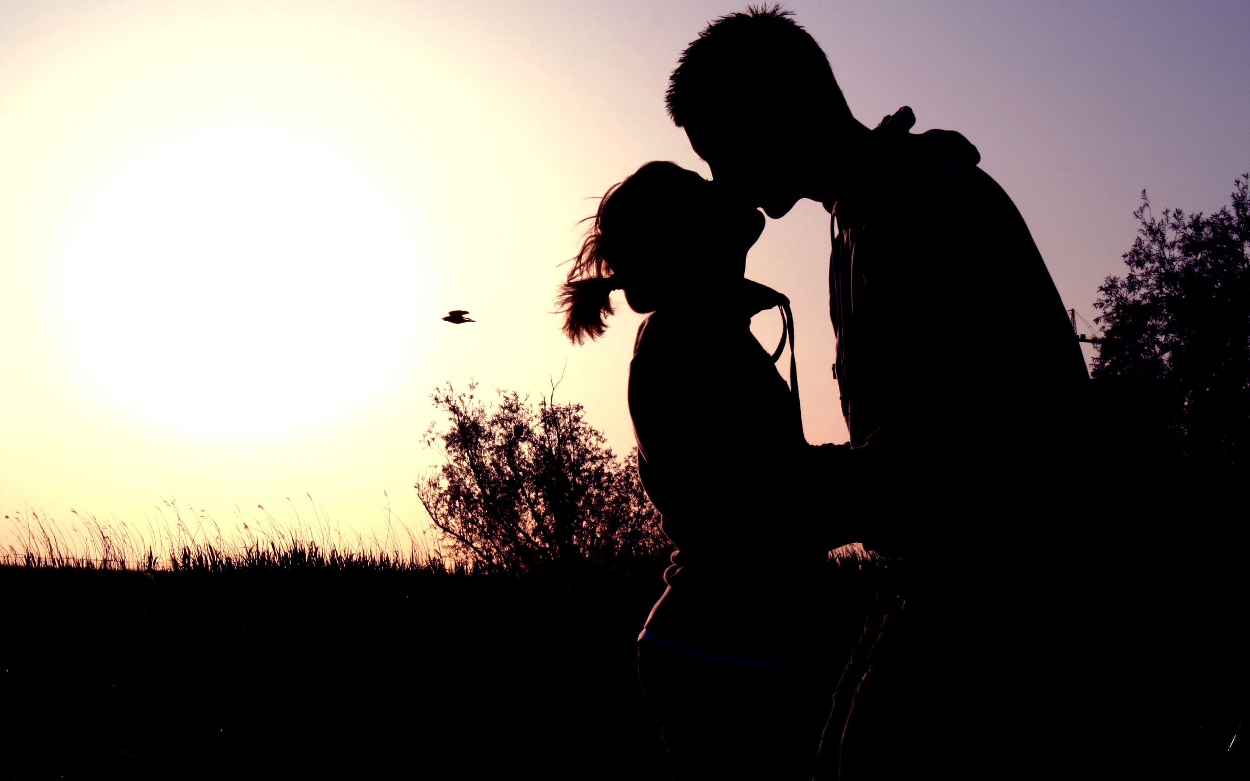 Laden Sie das Sunset, Paar, Schatten, Umarmen, Kuss, Liebe, Umarmung, Romantik-Bild kostenlos auf Ihren PC-Desktop herunter