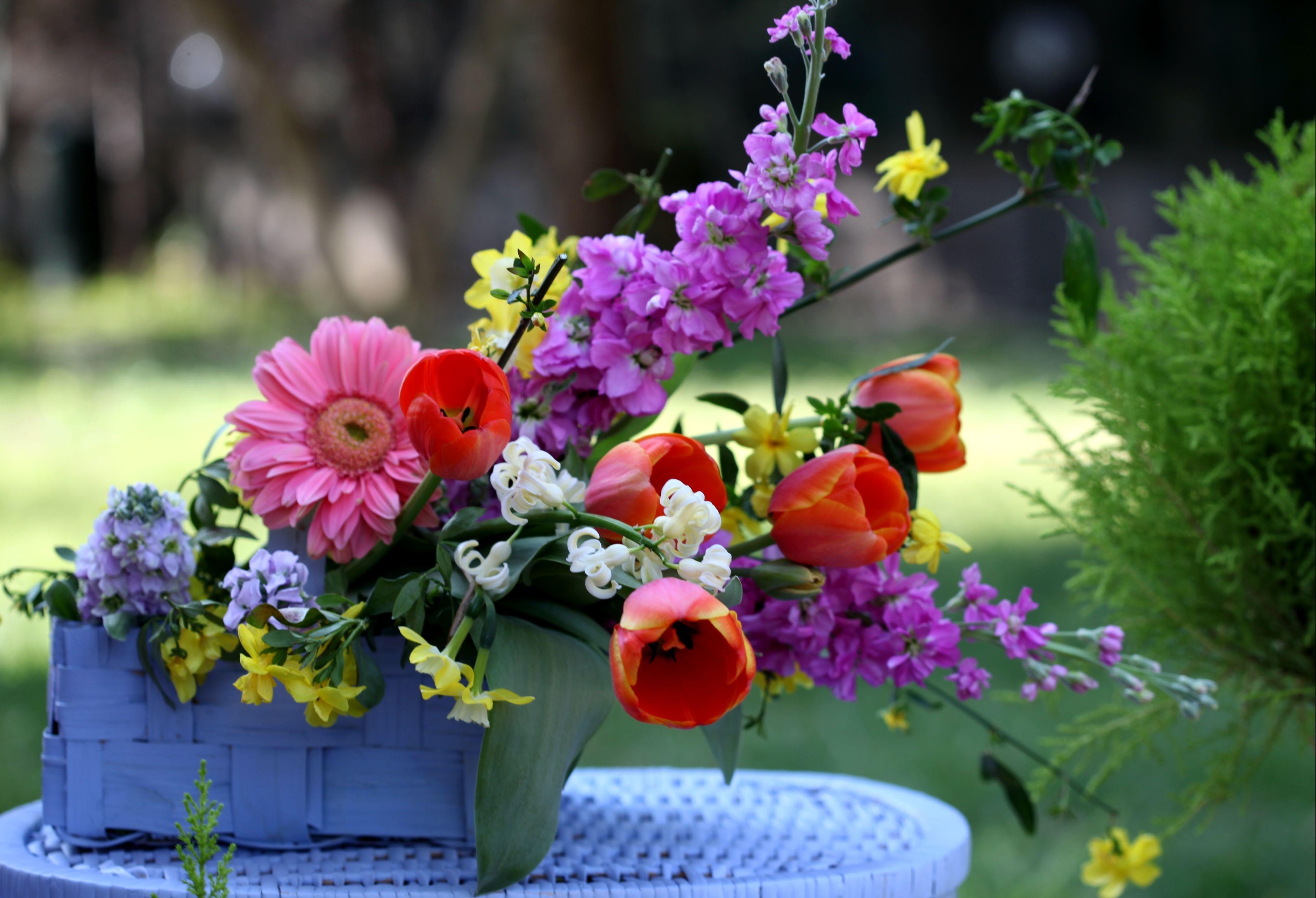 tulips, flowers, gerberas, basket, composition, levkoy, gillyflower download HD wallpaper