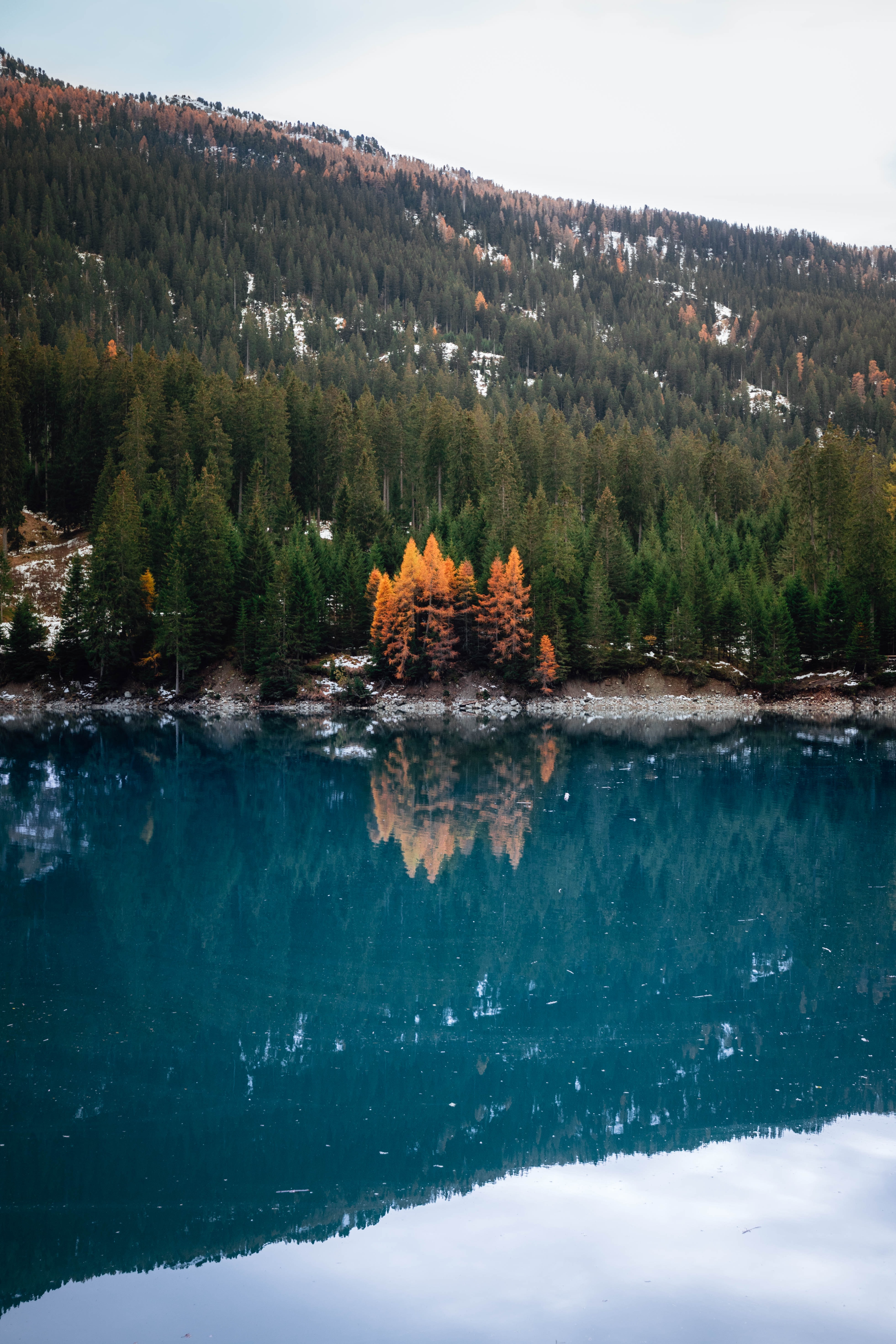 android slope, nature, water, lake, reflection, forest