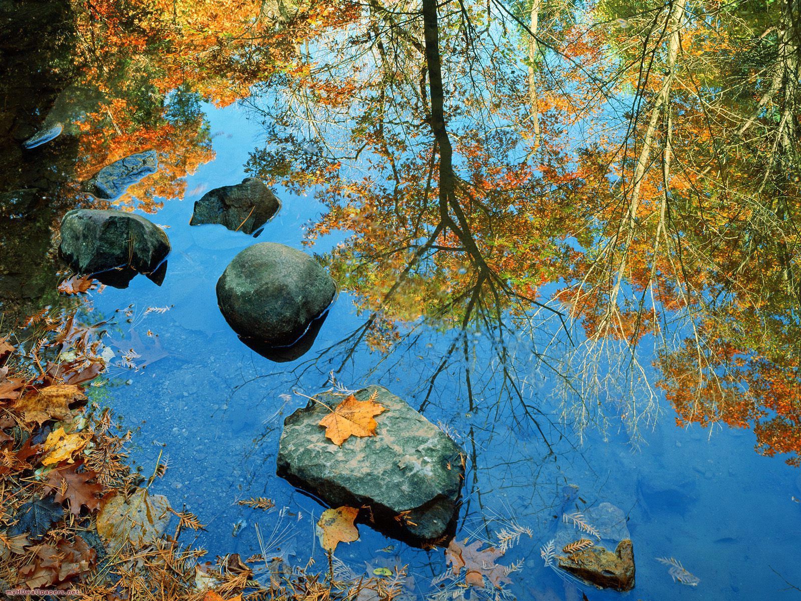 Скачать картинку Камни, Вода, Природа, Осень в телефон бесплатно.