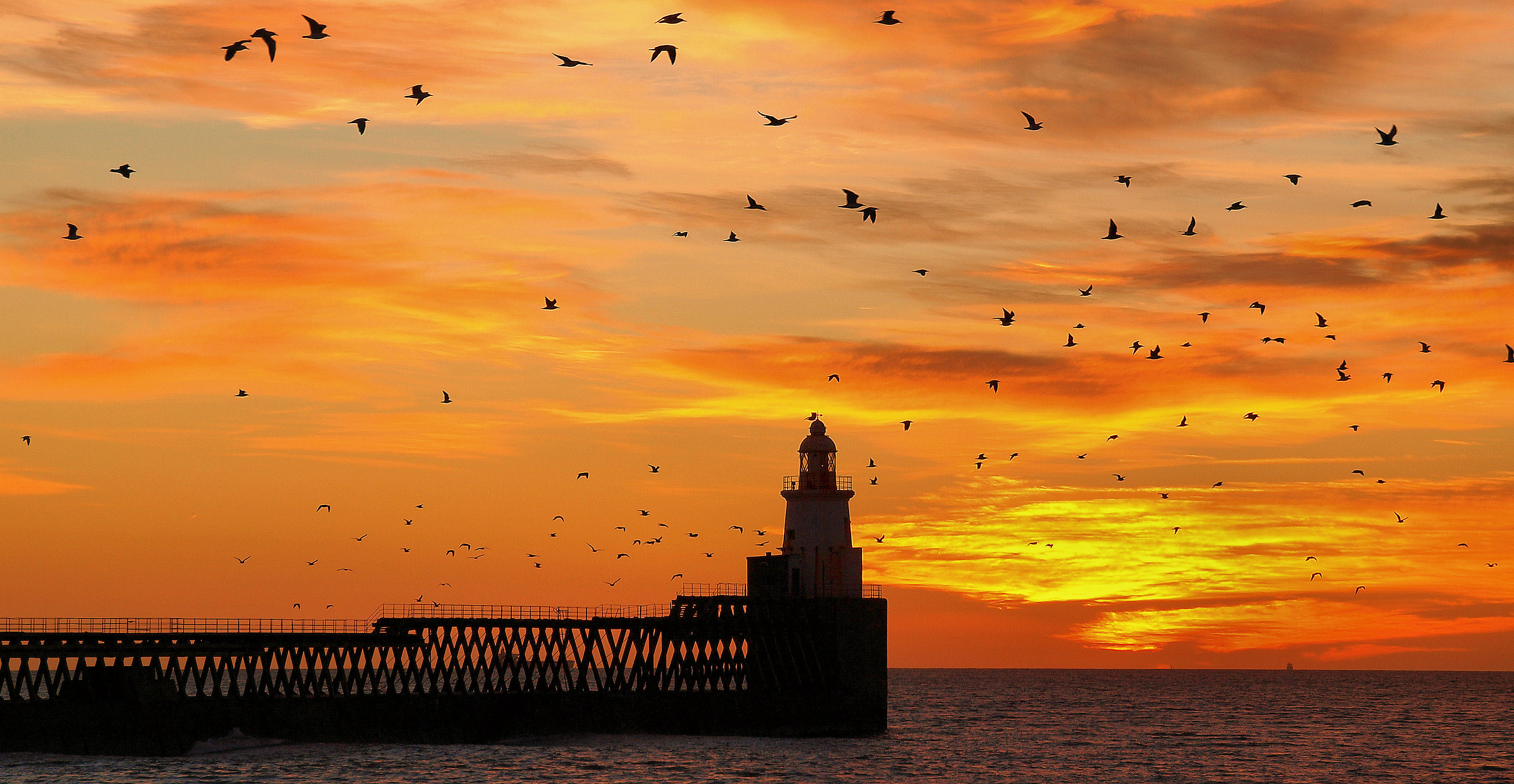 Free download wallpaper Sunset, Sky, Horizon, Bird, Ocean, Lighthouse, Man Made, Orange (Color) on your PC desktop