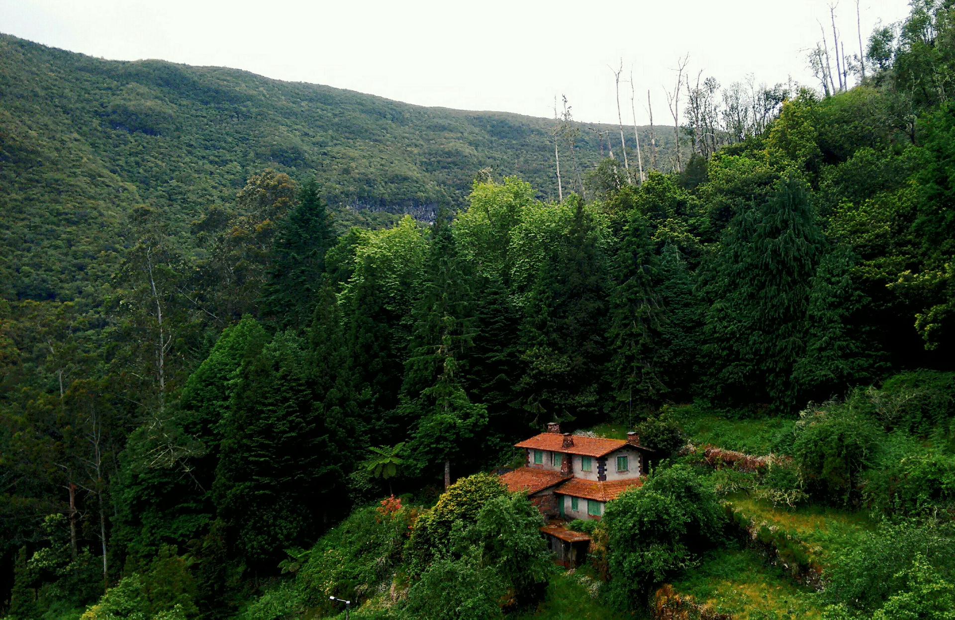 Дом на Холме Абхазия