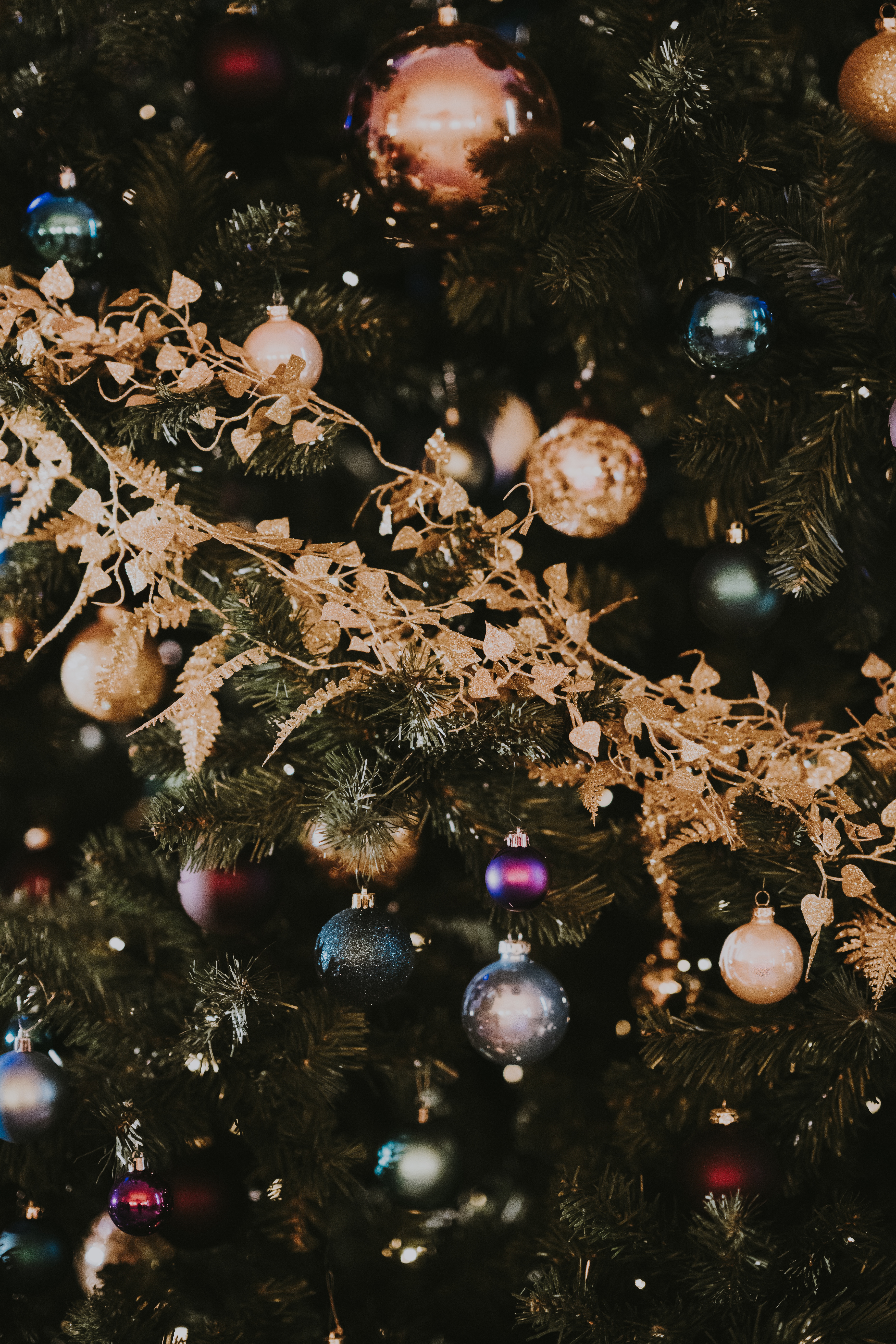 103012 завантажити шпалери новий рік, ялинку, свята, різдво, ялинкові іграшки, ялинка, орден, прикраса, новорічний настрій - заставки і картинки безкоштовно