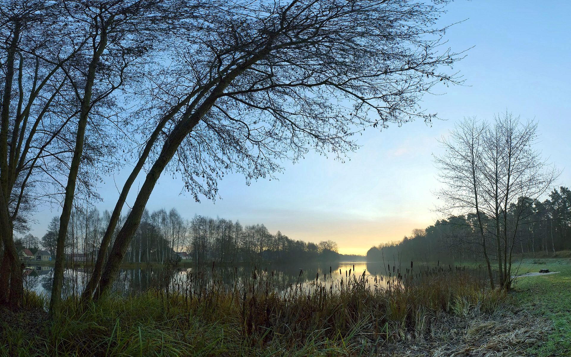 nature, twilight, lake, shore, bank, dusk, outlines, evening, reeds