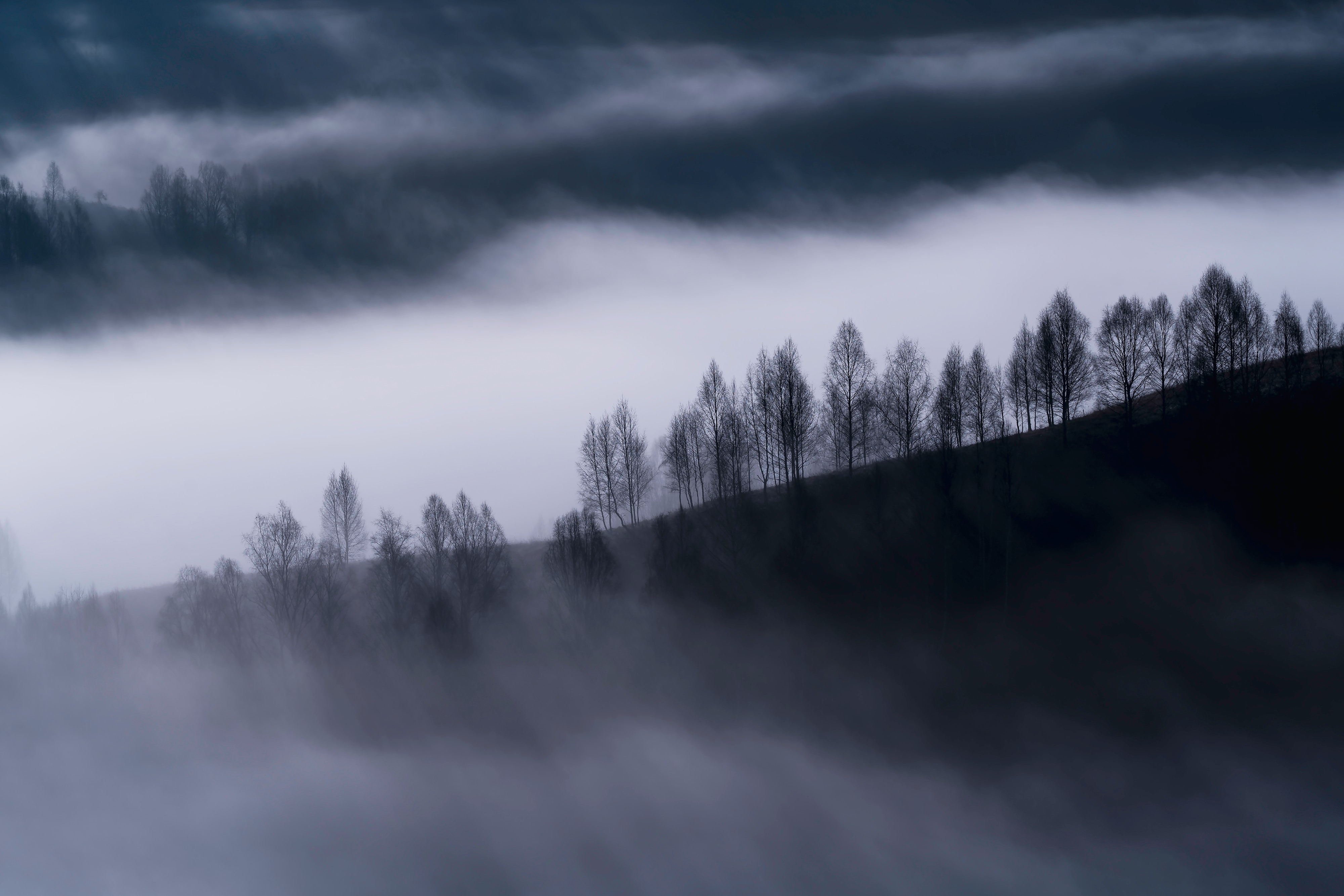 Скачать картинку Облака, Холмы, Туман, Деревья, Природа в телефон бесплатно.