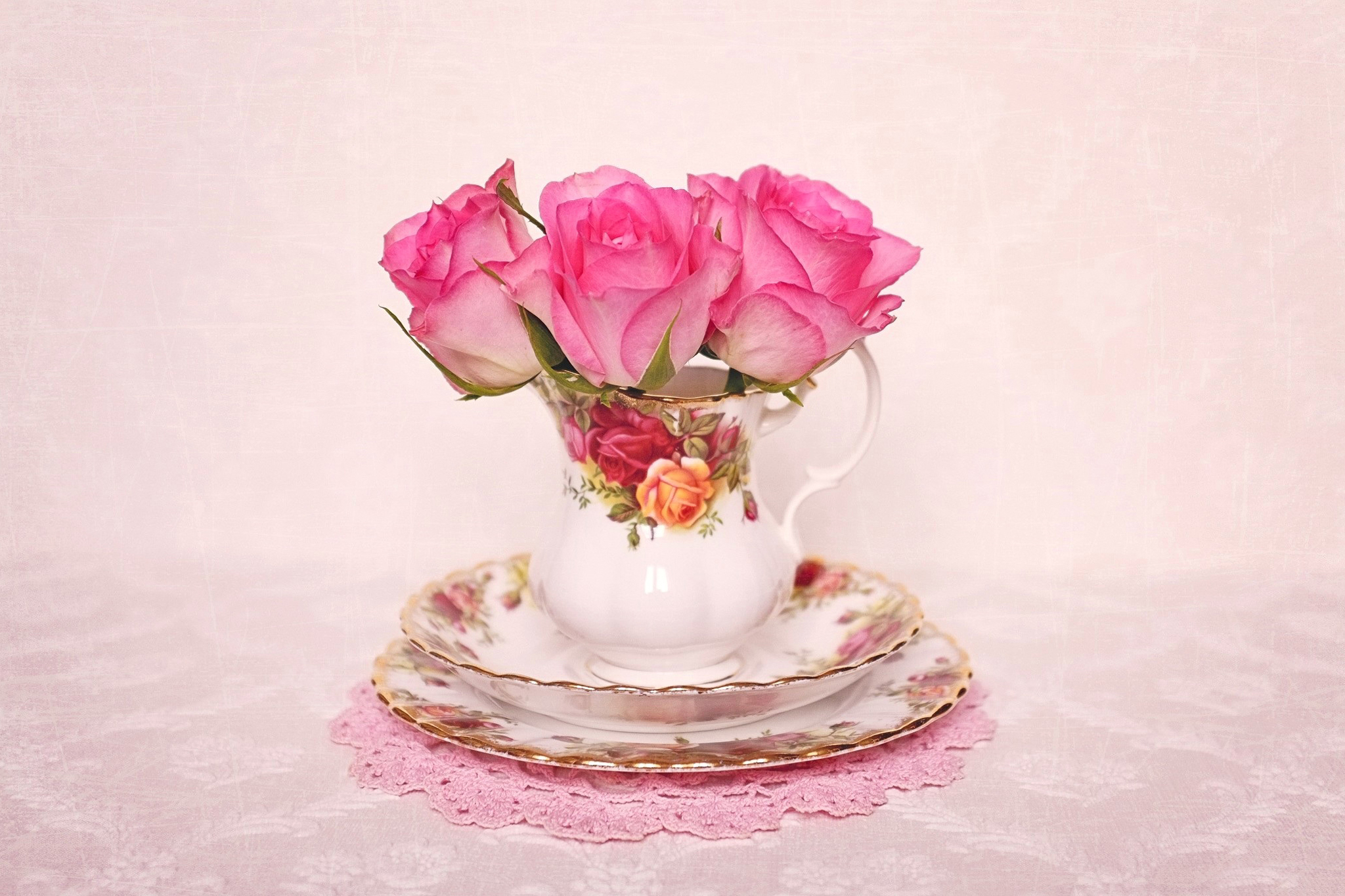 photography, still life, cup, pink flower, rose, saucer 5K