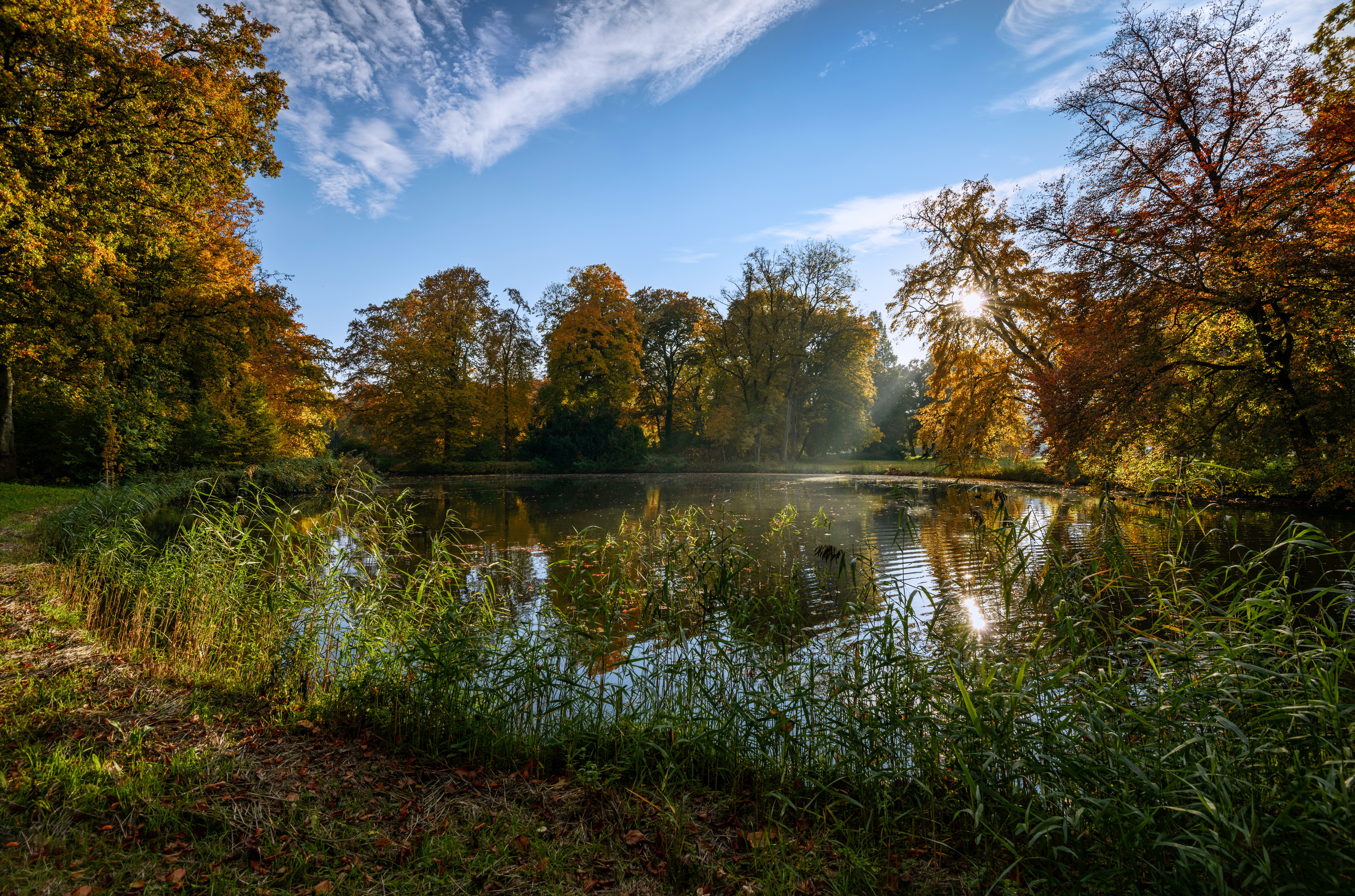 Free download wallpaper Pond, De Haar Castle Park, Nature, Netherlands, Summer, Trees on your PC desktop