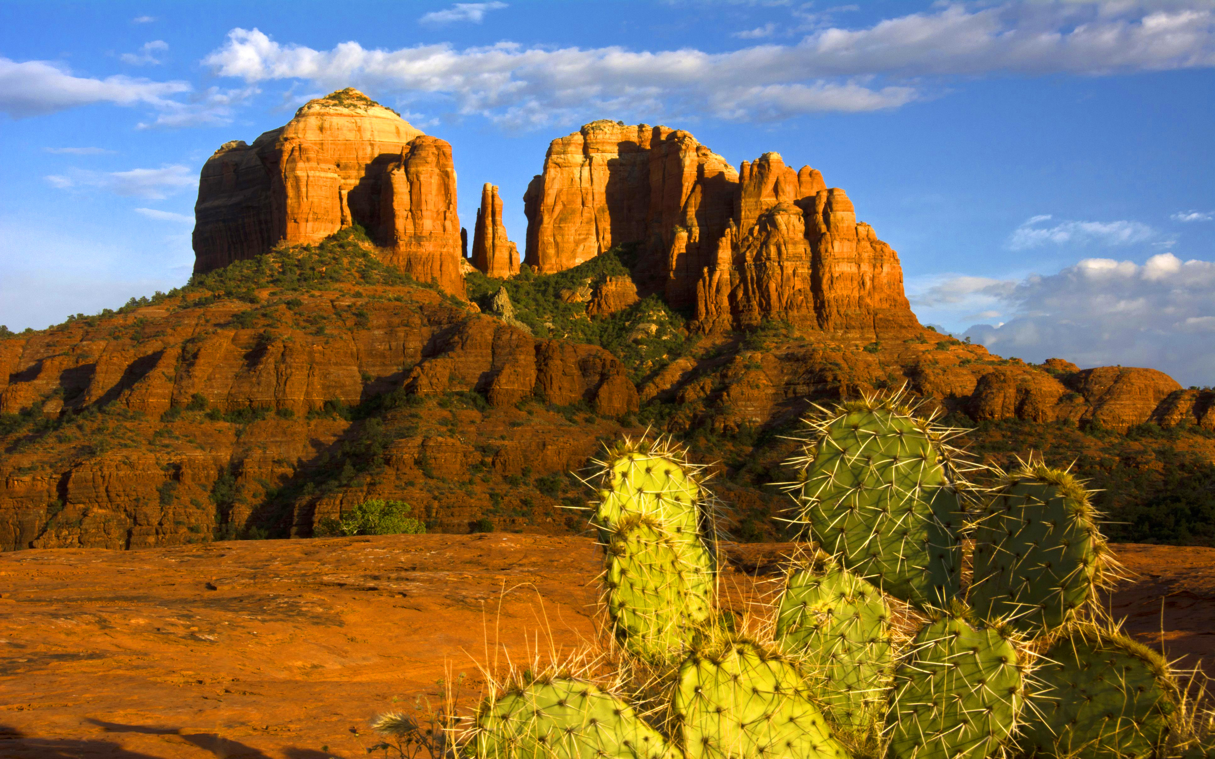 774111 Hintergrundbild herunterladen erde/natur, steppe, arizona, kaktus, sedona - Bildschirmschoner und Bilder kostenlos