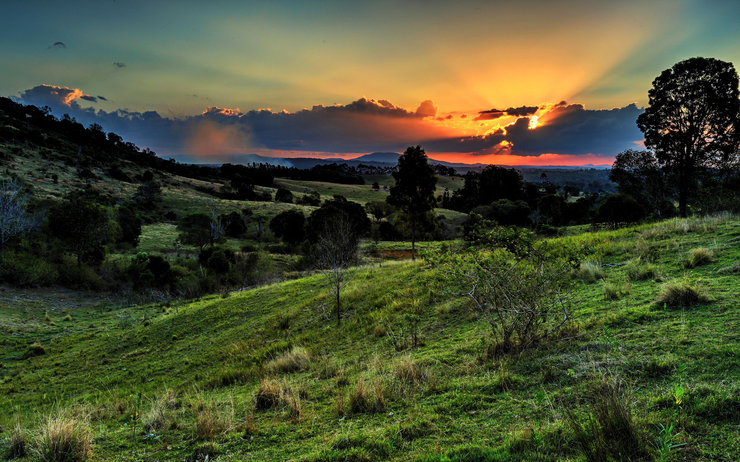 Free HD valley, sunset, nature, grass, sky