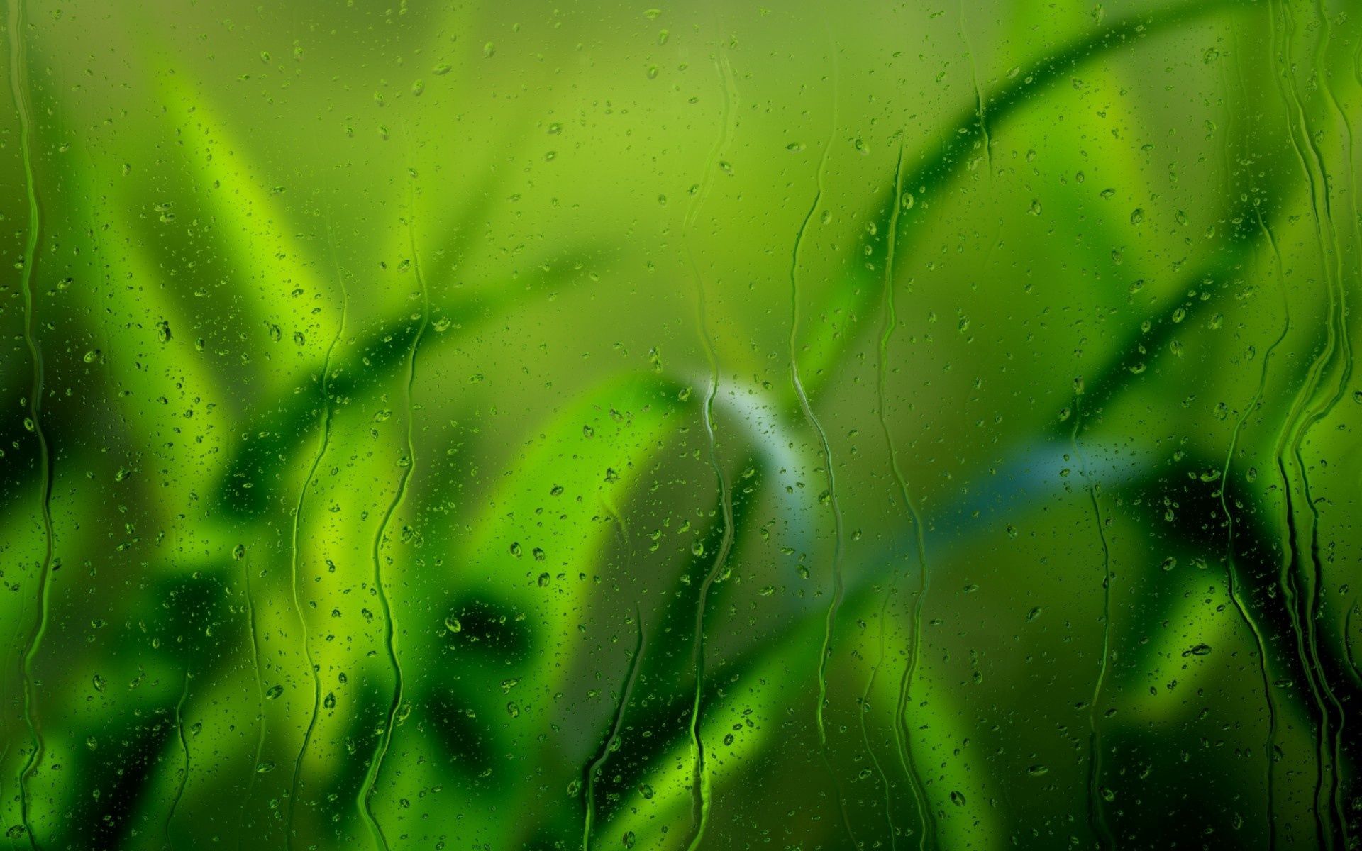 122263 descargar fondo de pantalla hierba, macro, lluvia, drops, vidrio: protectores de pantalla e imágenes gratis