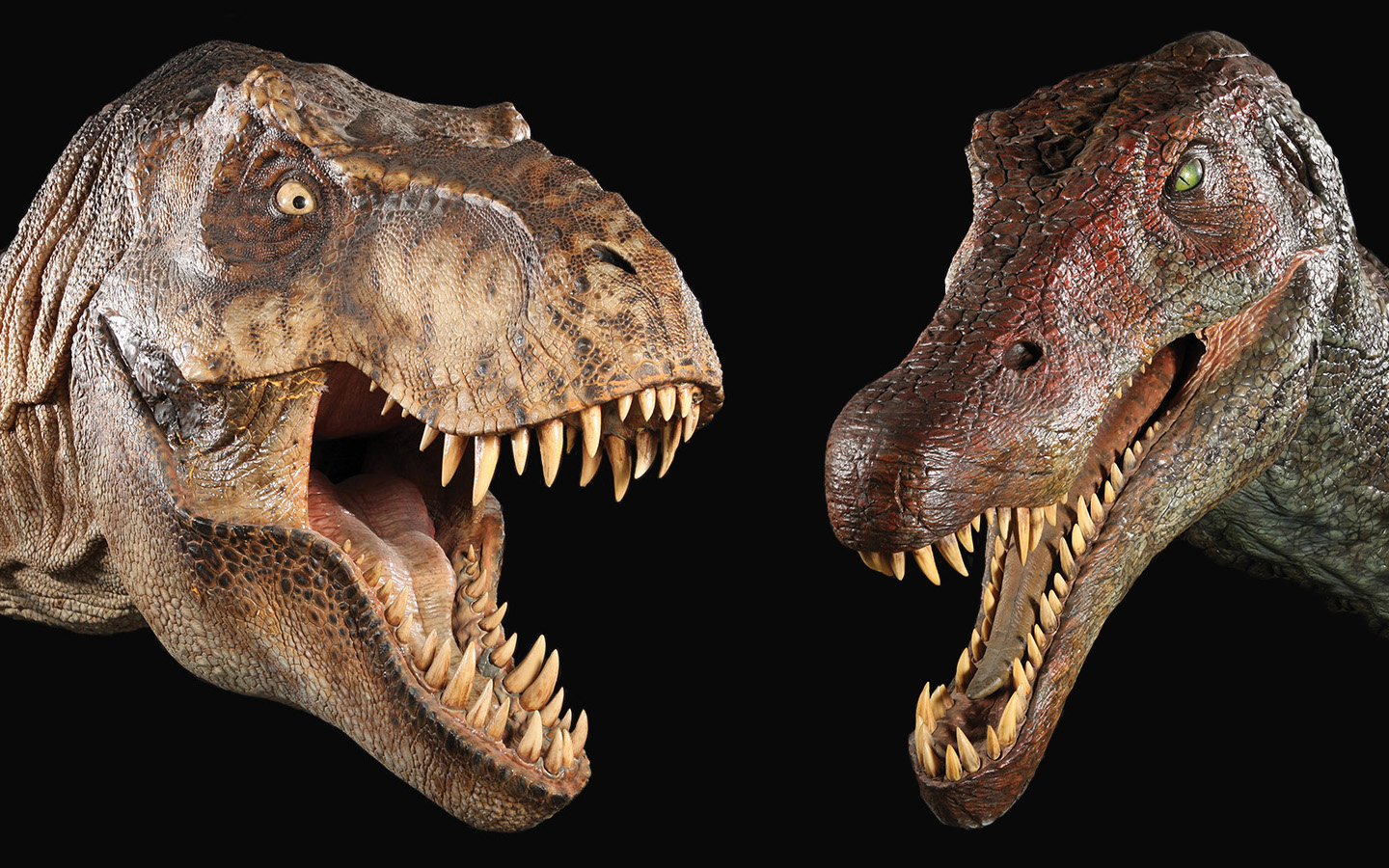 tyrannosaurus rex, animal, extinct, dinosaurs Free Stock Photo