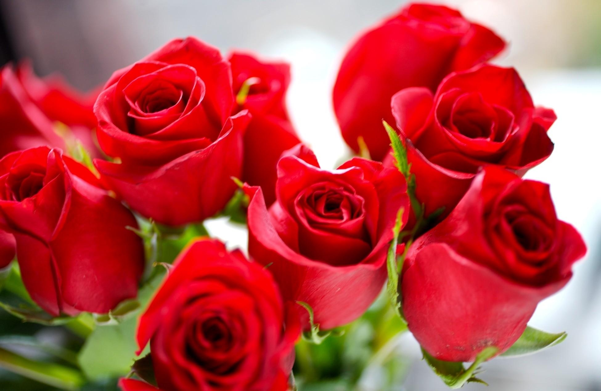 Download mobile wallpaper Bouquet, Buds, Flowers, Bright, Roses for free.