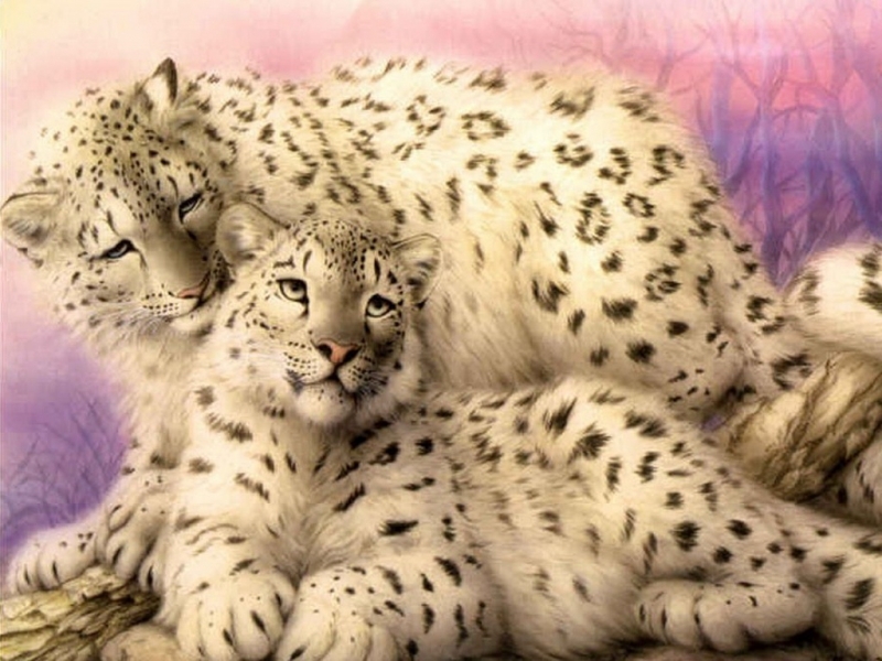 Download mobile wallpaper Snow Leopard, Animals, Pictures for free.