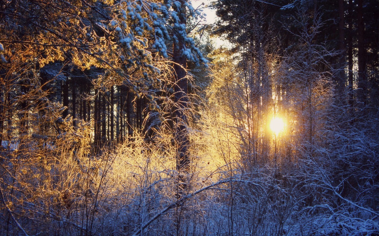 Download mobile wallpaper Snow, Winter, Landscape, Sunset, Trees for free.