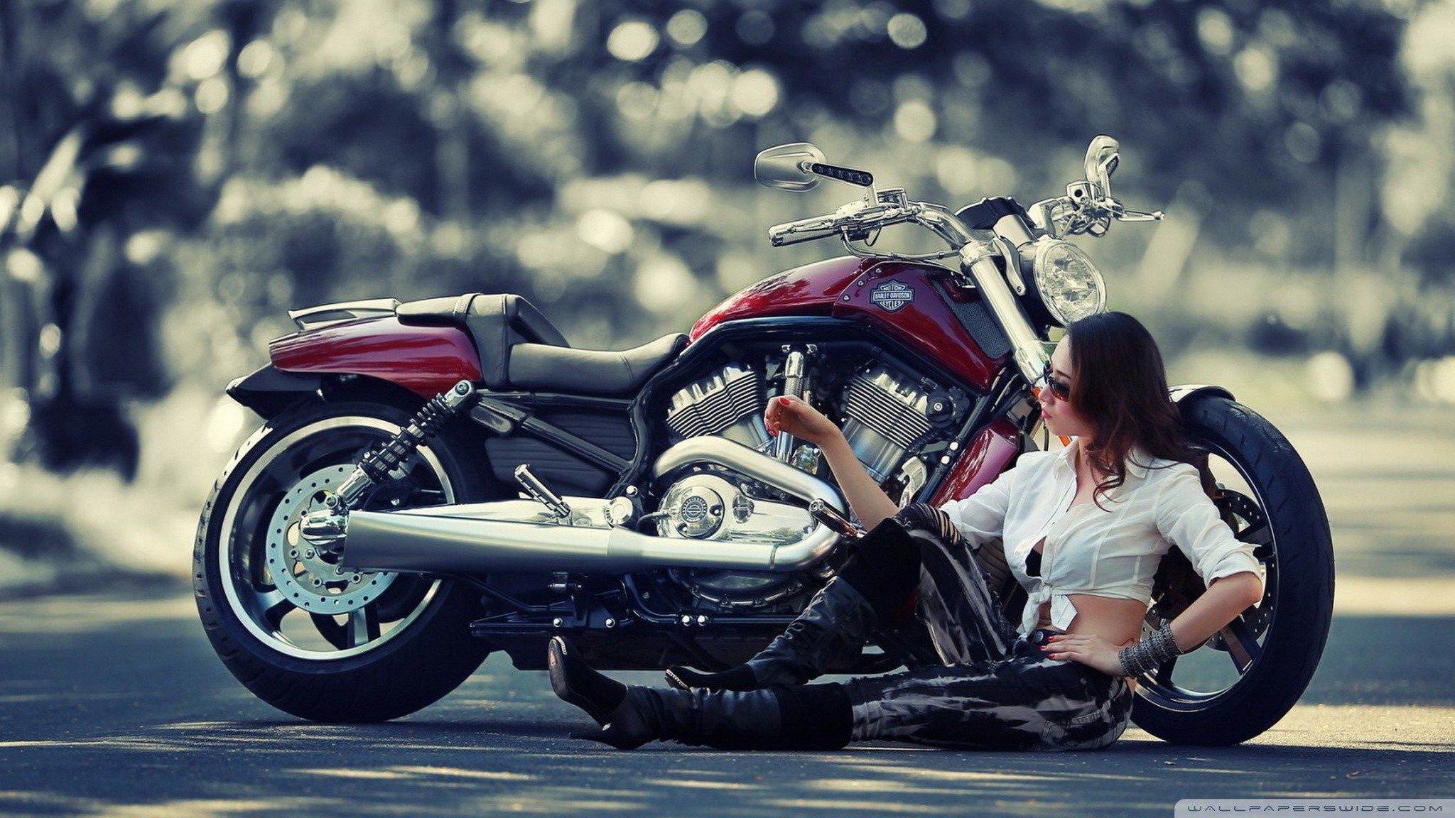 women, girls & motorcycles, harley davidson