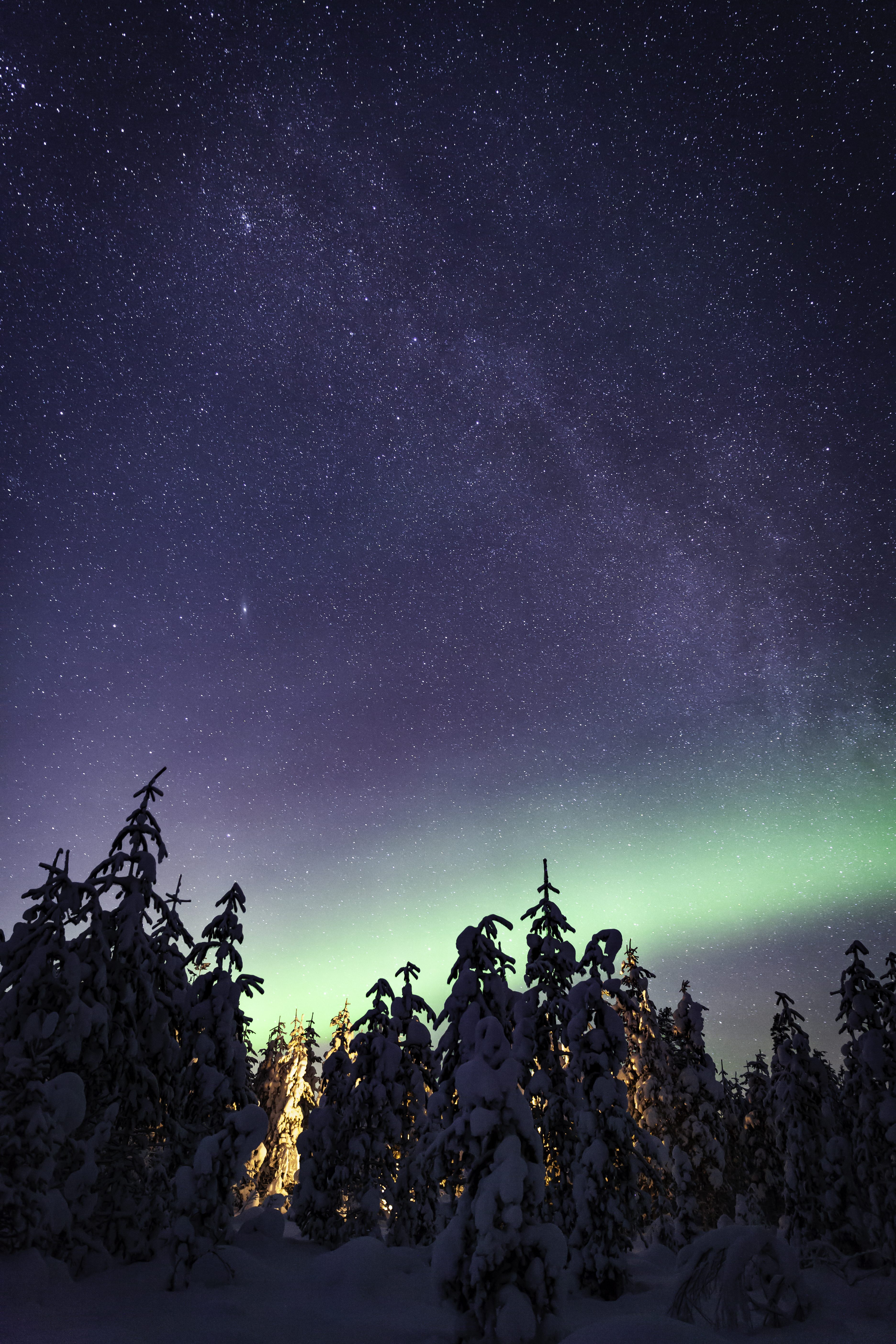 67522 Hintergrundbild herunterladen winter, natur, bäume, sternenhimmel, die milchstrasse, milchstraße, nordlichter, aurora borealis, aurora - Bildschirmschoner und Bilder kostenlos