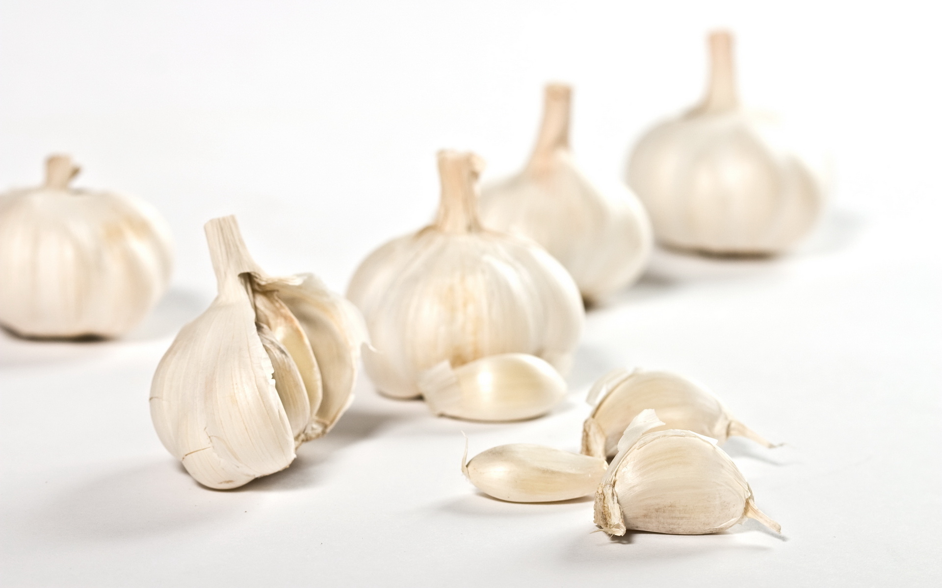 garlic, food