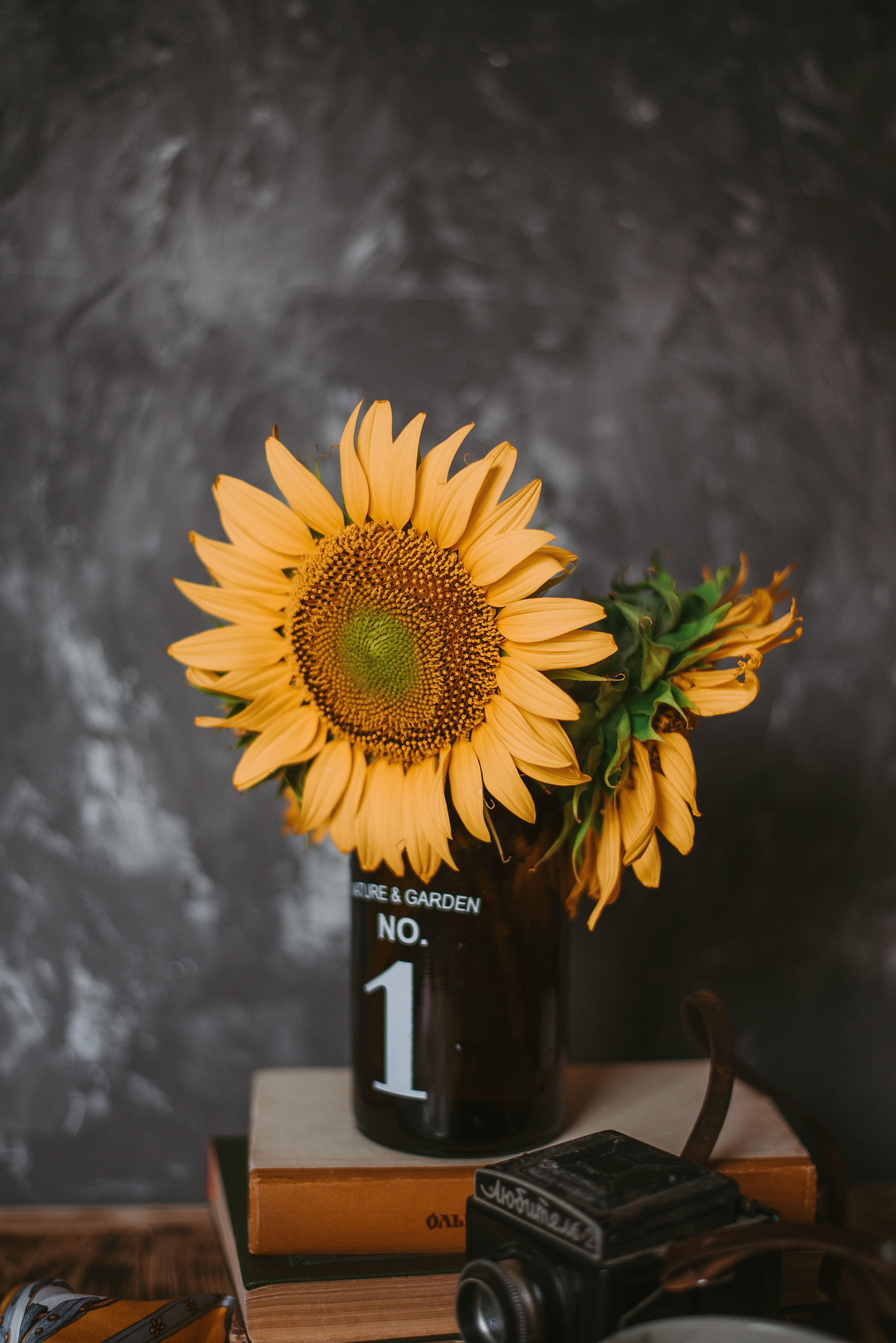 books, sunflowers, flowers, miscellanea, miscellaneous, vase, camera 4K Ultra