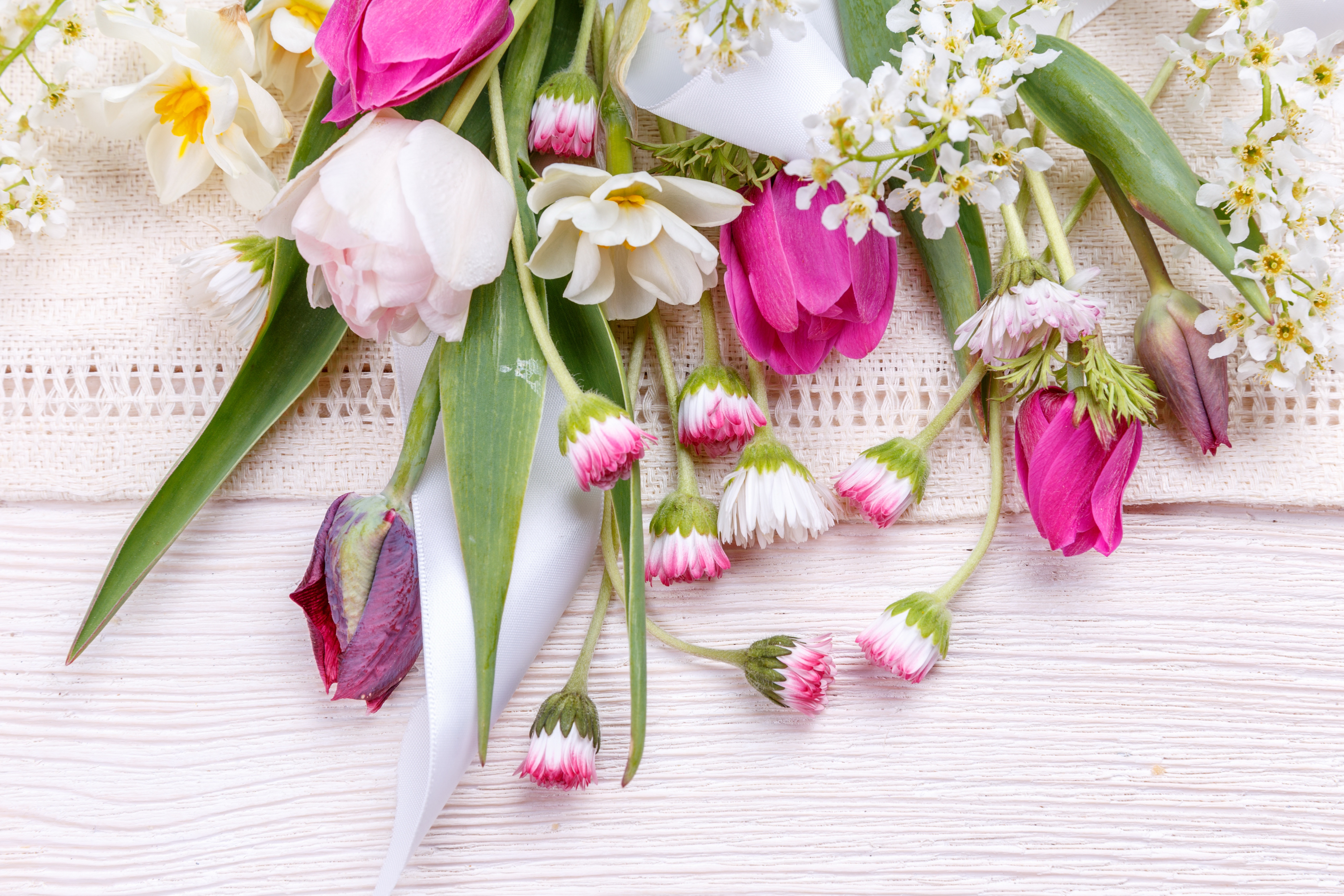 Стильная открытка с цветами. Фловерс Flowers цветы тюльпаны. Весенний букет. Нежные весенние цветы. Стильные весенние букеты.