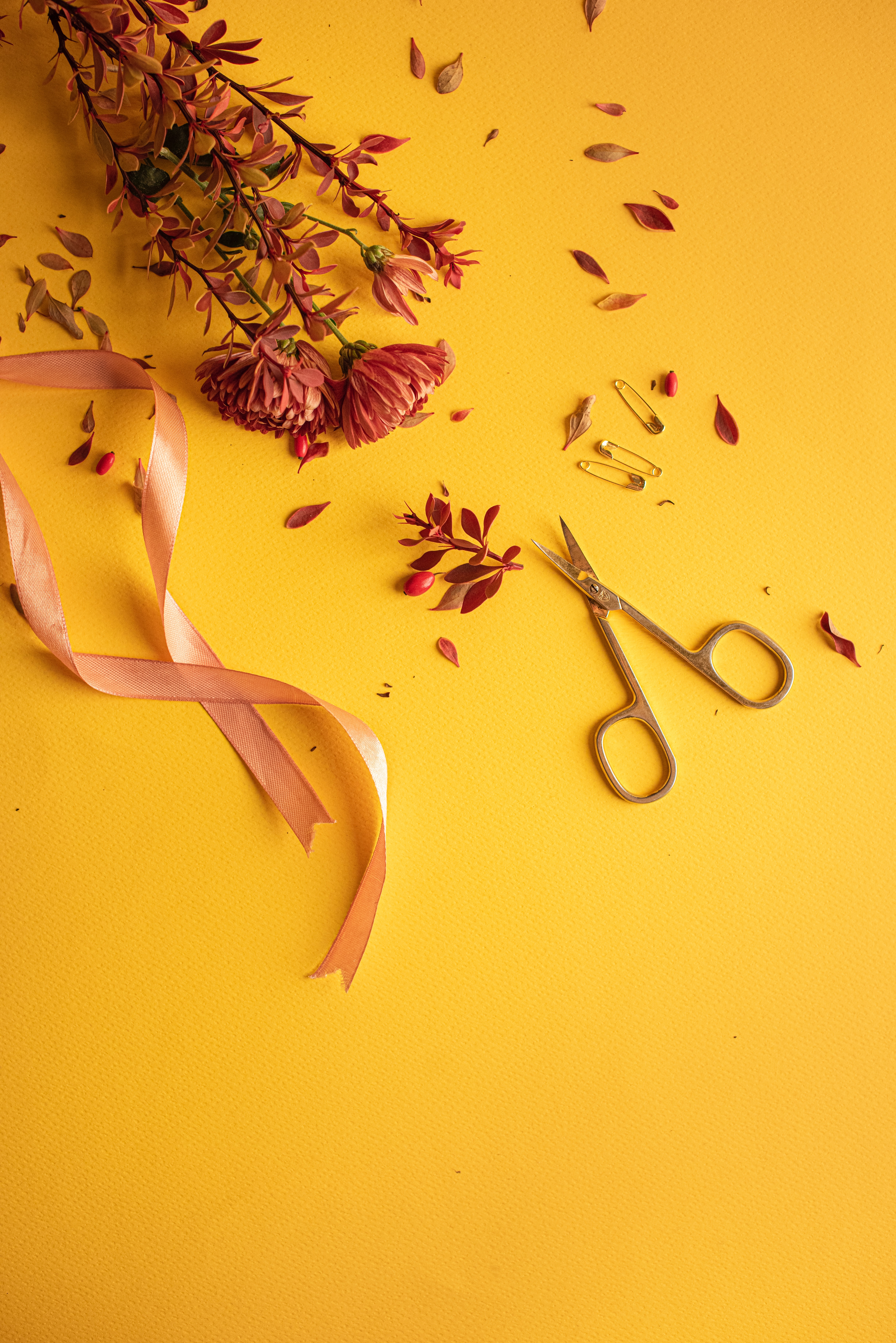 miscellaneous, flowers, miscellanea, tape, scissors, pins, safety pins