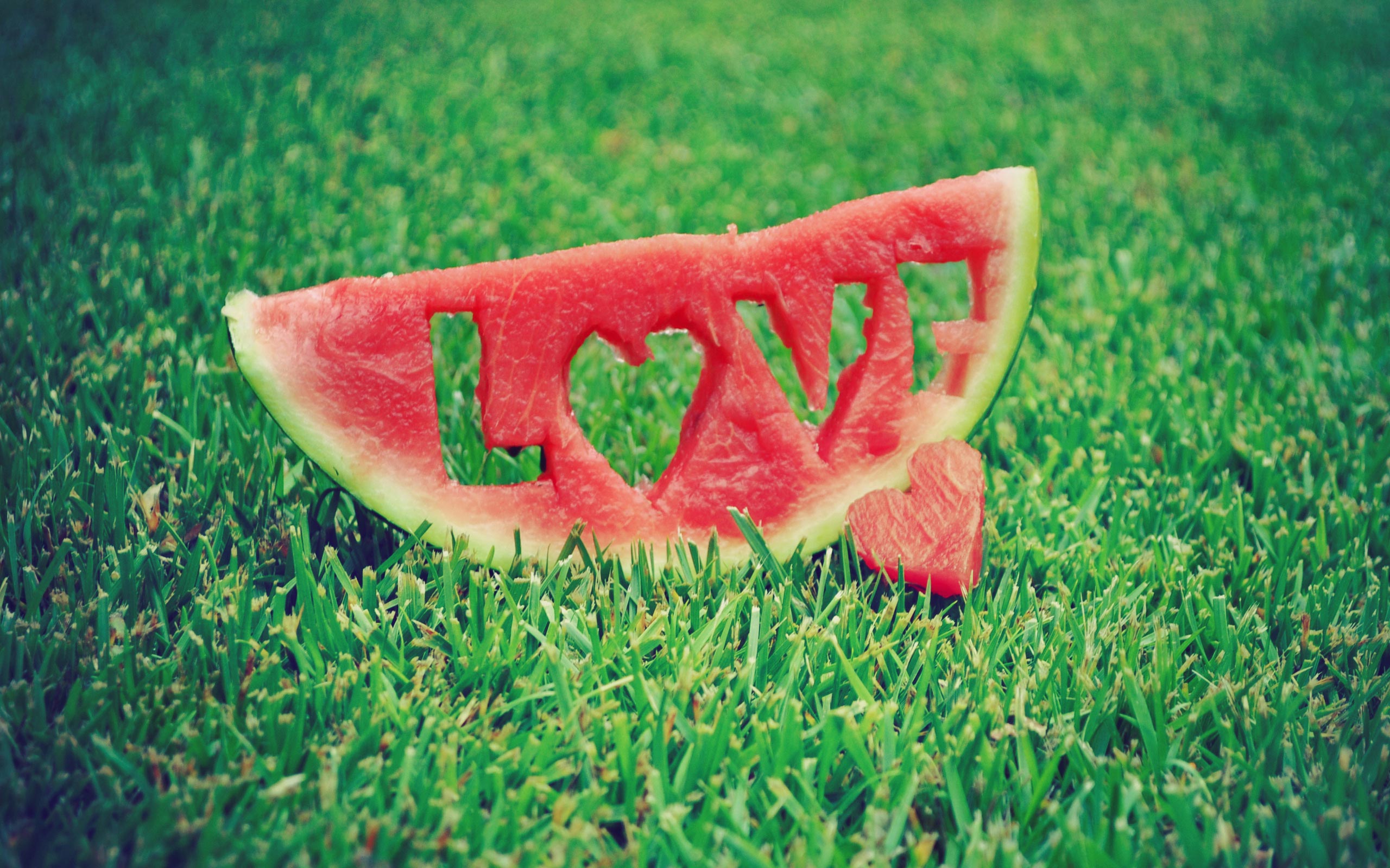 love, photography, grass, heart, watermelon HD wallpaper