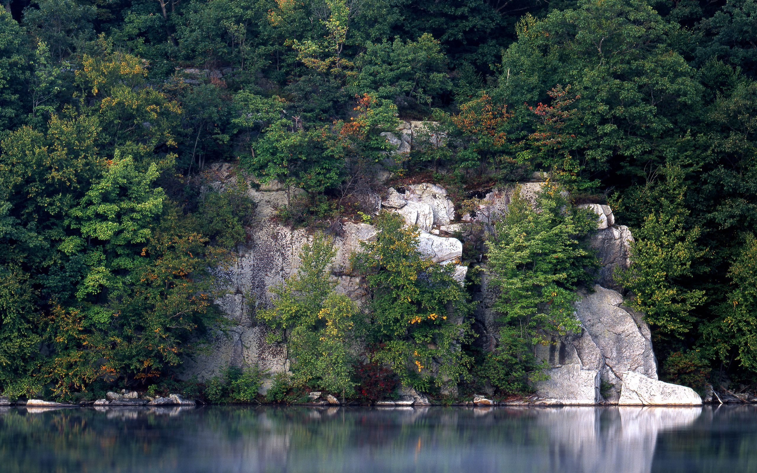 108275 免費下載壁紙 性质, 树, 湖, 岩石, 石头, 湖景, 植被, 水面, 水熨烫 屏保和圖片