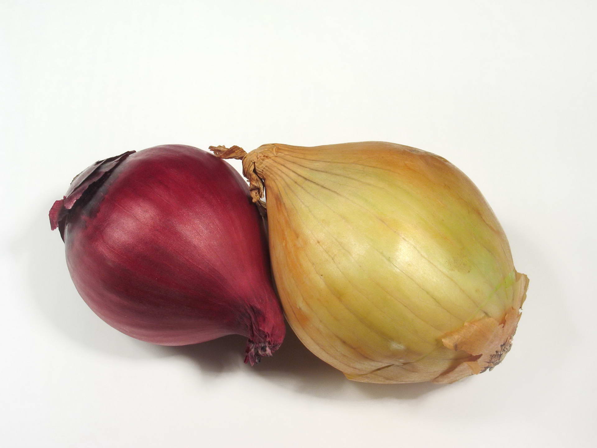 HD wallpaper onion, food